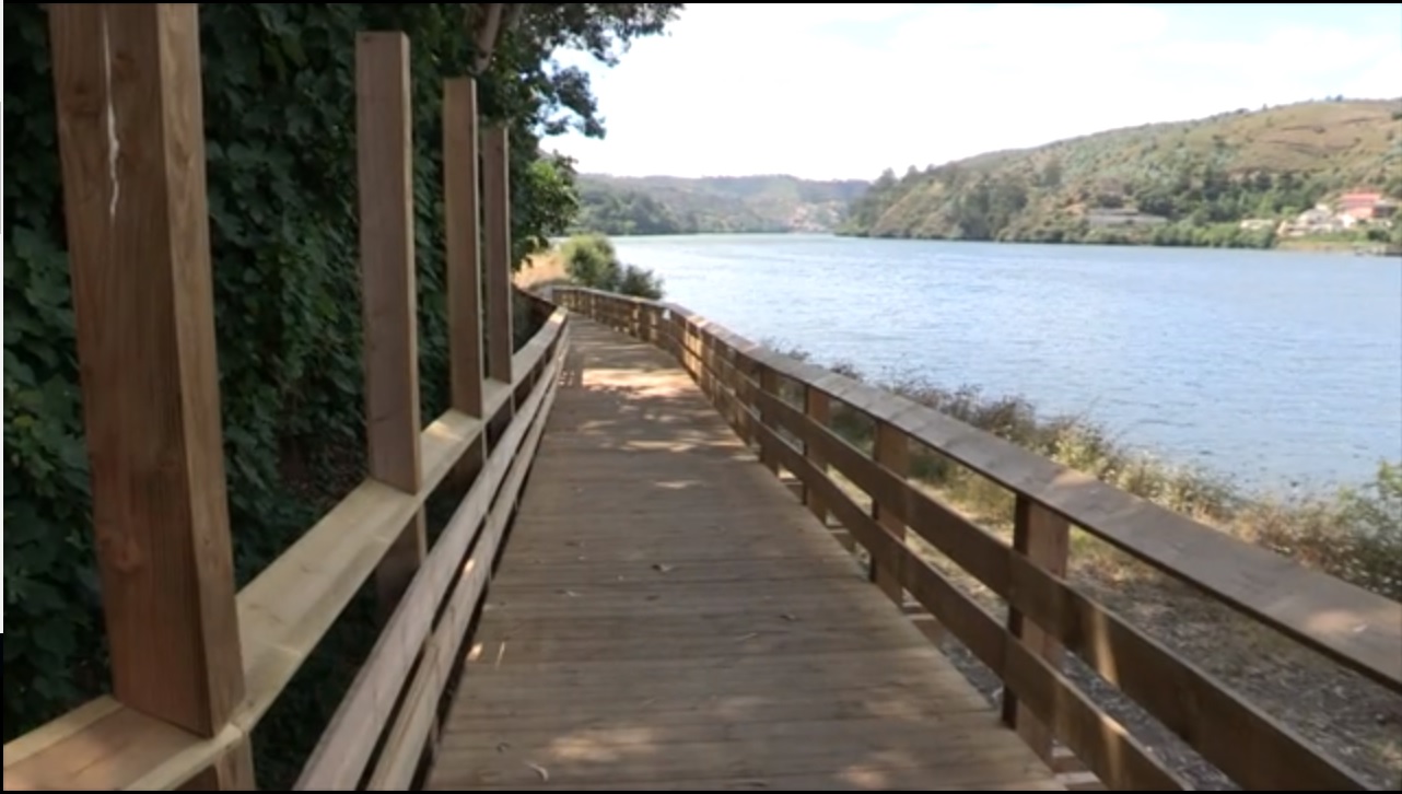 Parque do Choupal em Castelo de Paiva vai ter percurso pedonal iluminado, anfiteatro e miradouro
