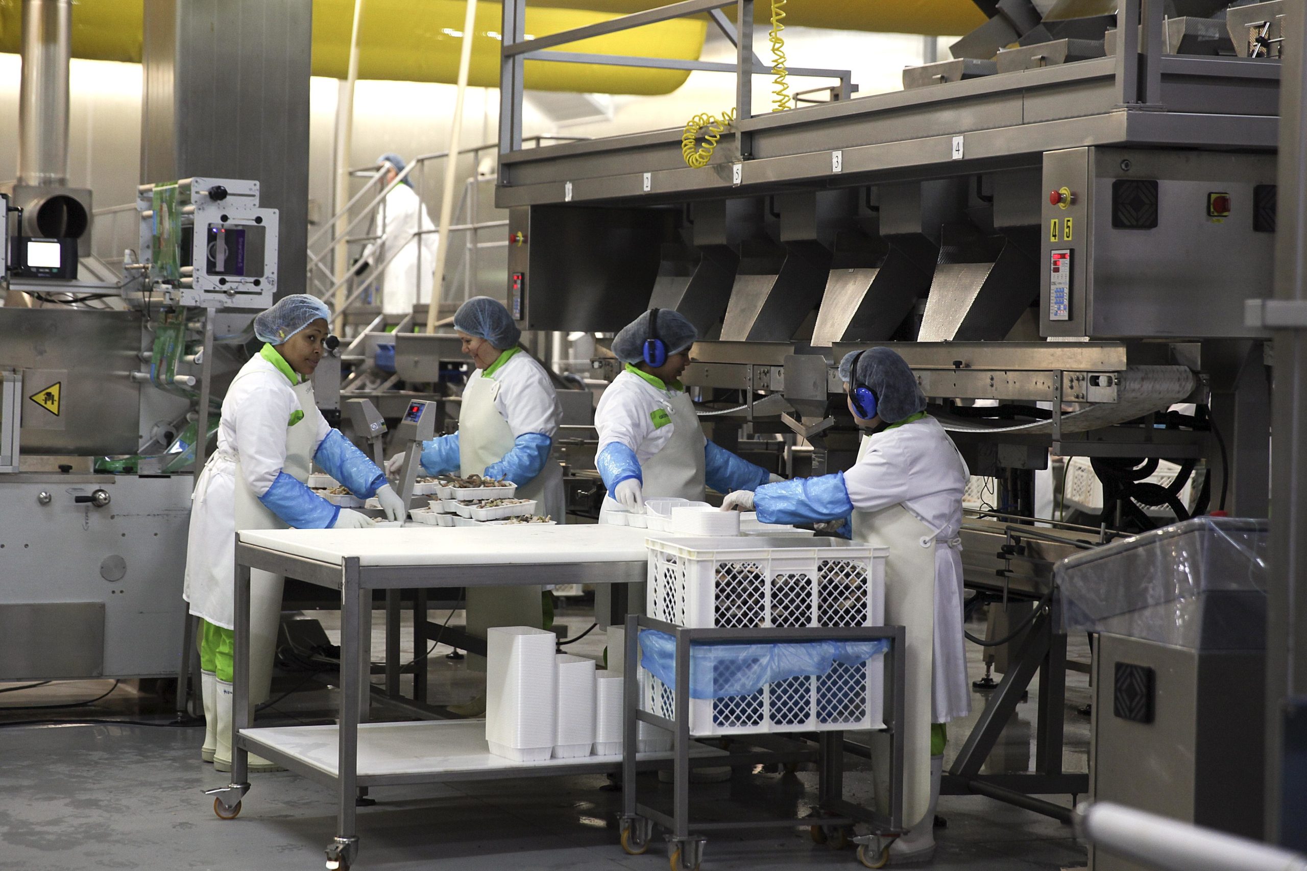 Sindicato acusa empresa de Arganil de atropelar direitos laborais