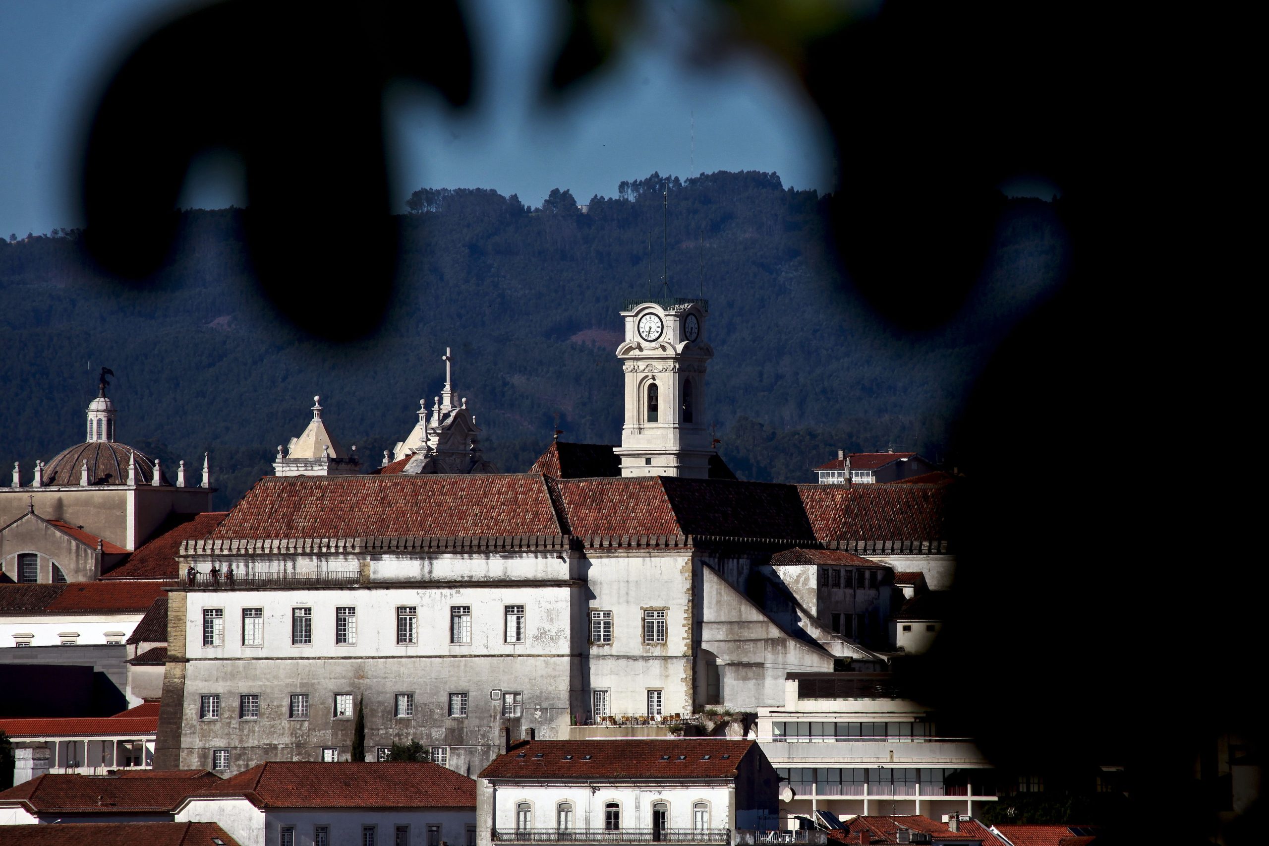 Investigadores de Coimbra integram consórcio europeu para nova geração de robôs