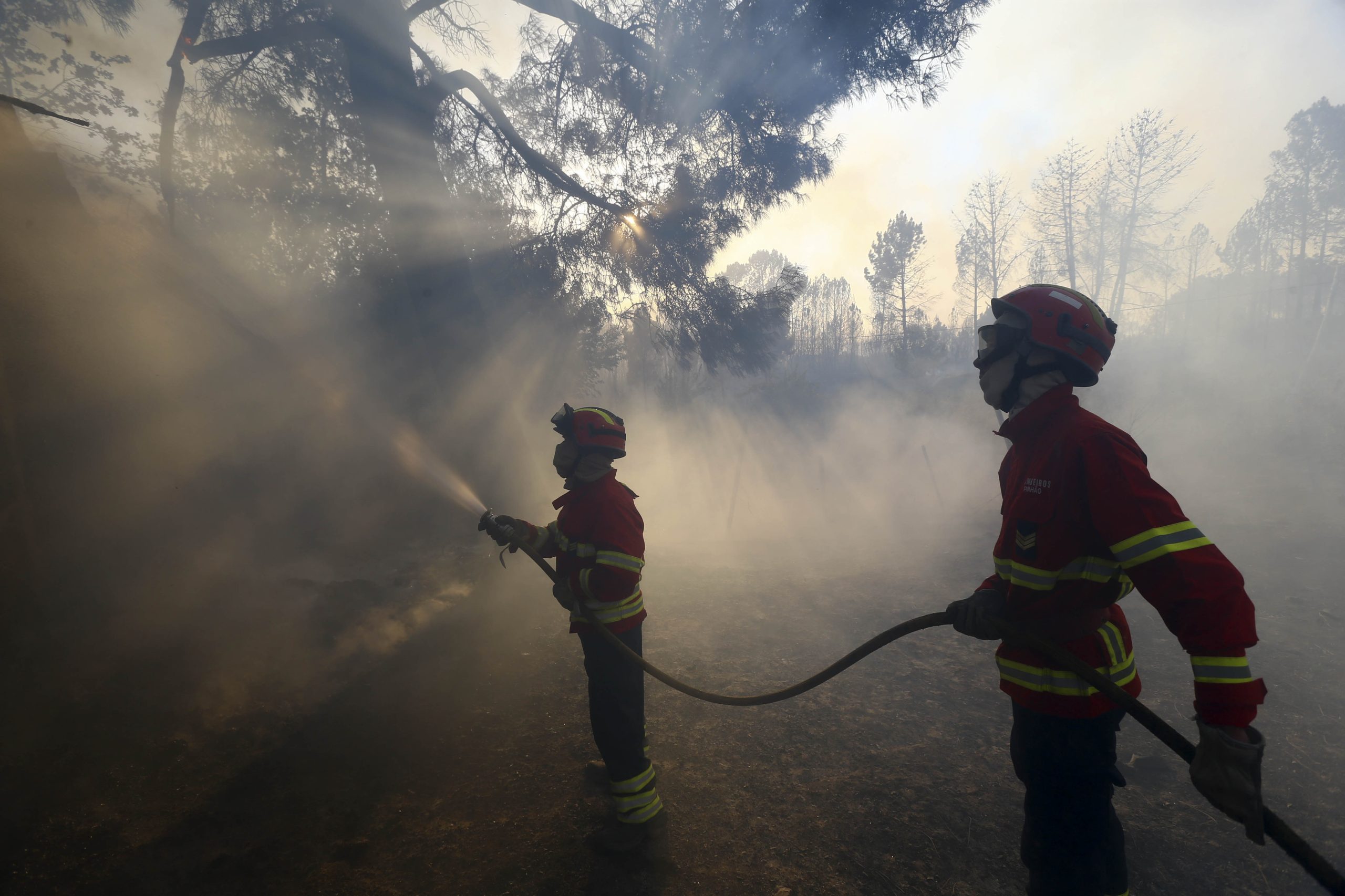 Incêndios: Oito meios aéreos e 116 operacionais combatem fogo em Odemira