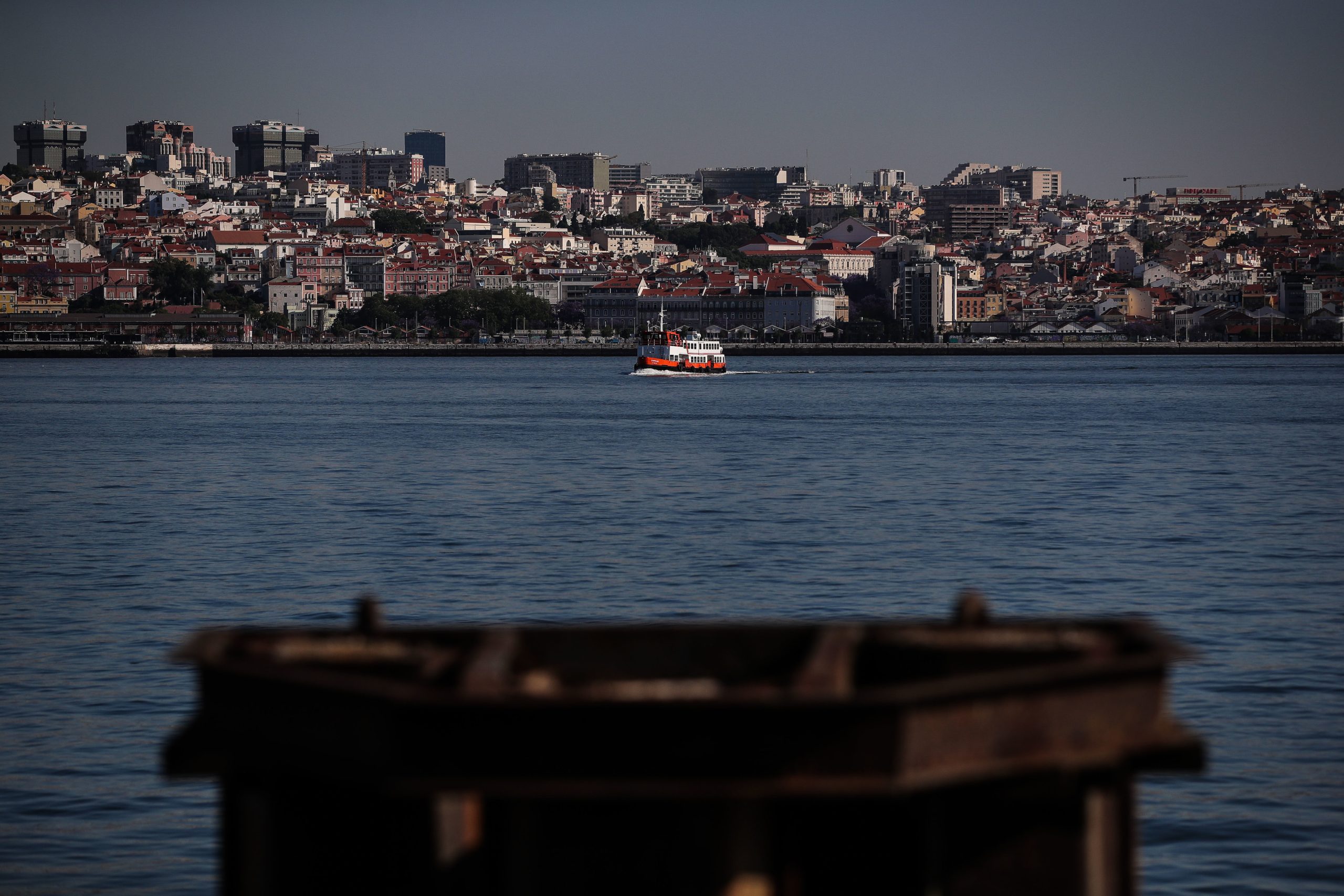 Operação no Tejo retira 2,3 toneladas de siluros. “Isto mostra que a população deste predador de topo, que não tem inimigos naturais, é muito maior ao nível do Tejo”