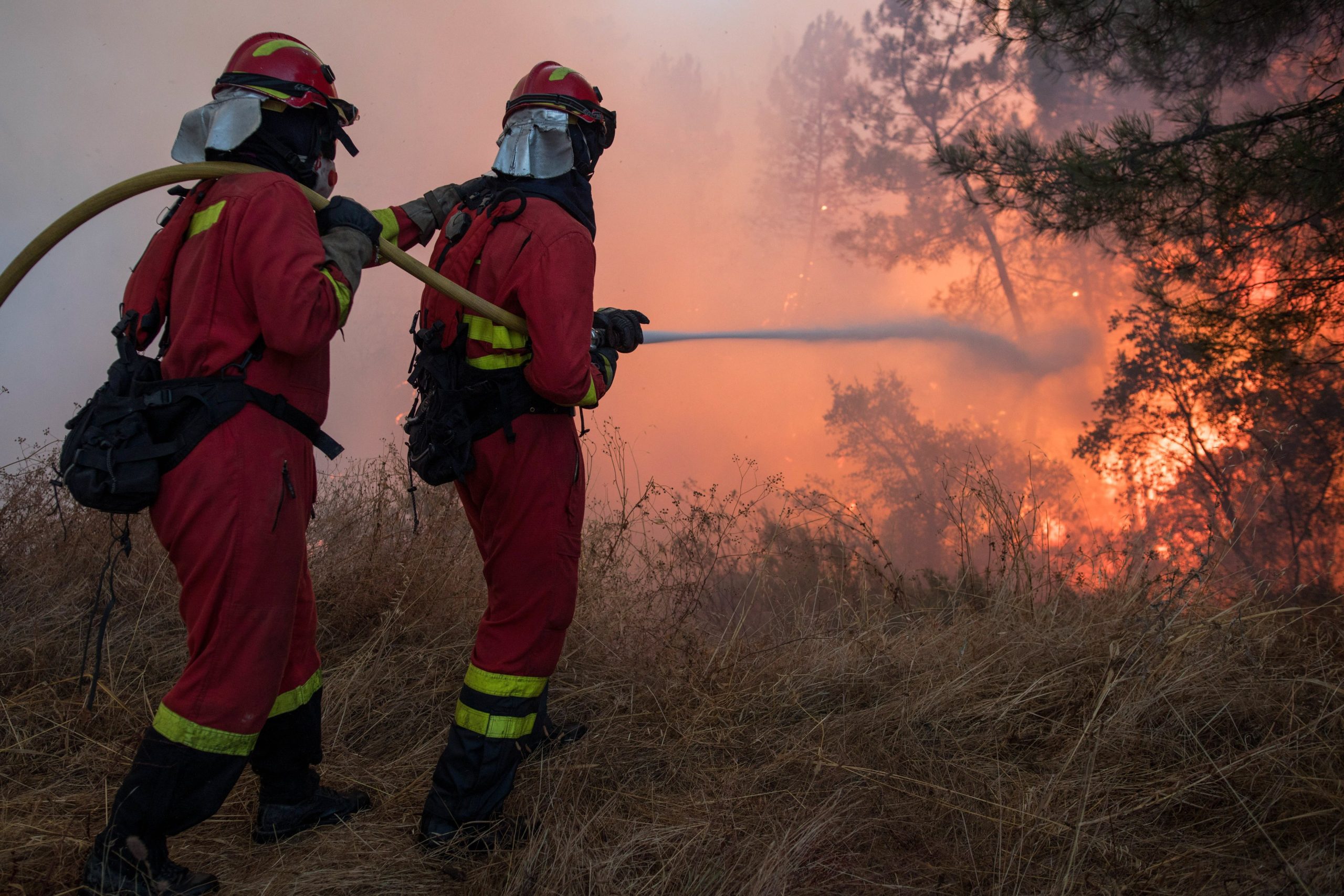 Alcobaça com três mil hectares ardidos e dez habitações destruídas