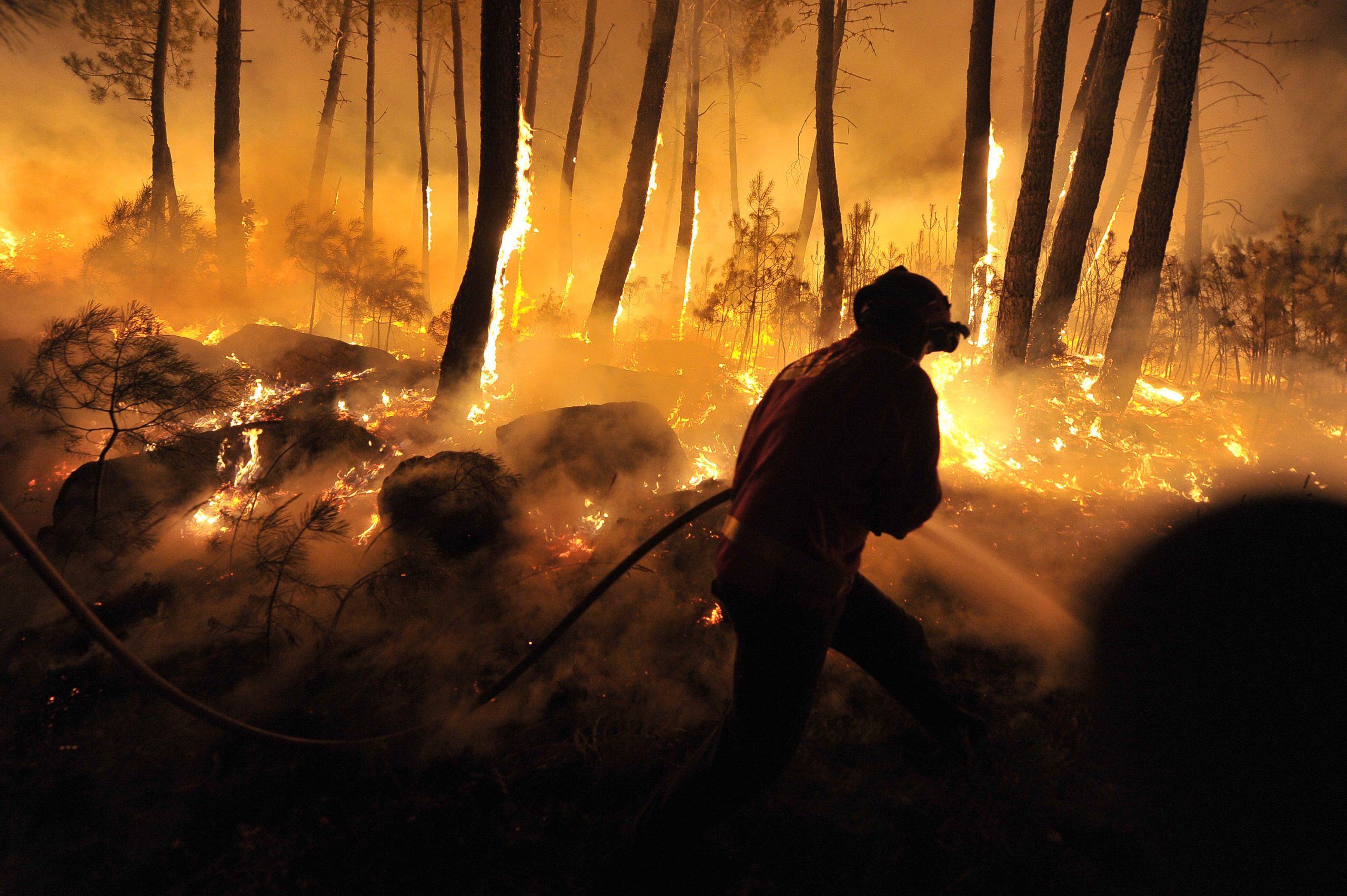 Detido suspeito de provocar dois incêndios florestais em Moimenta da Beira