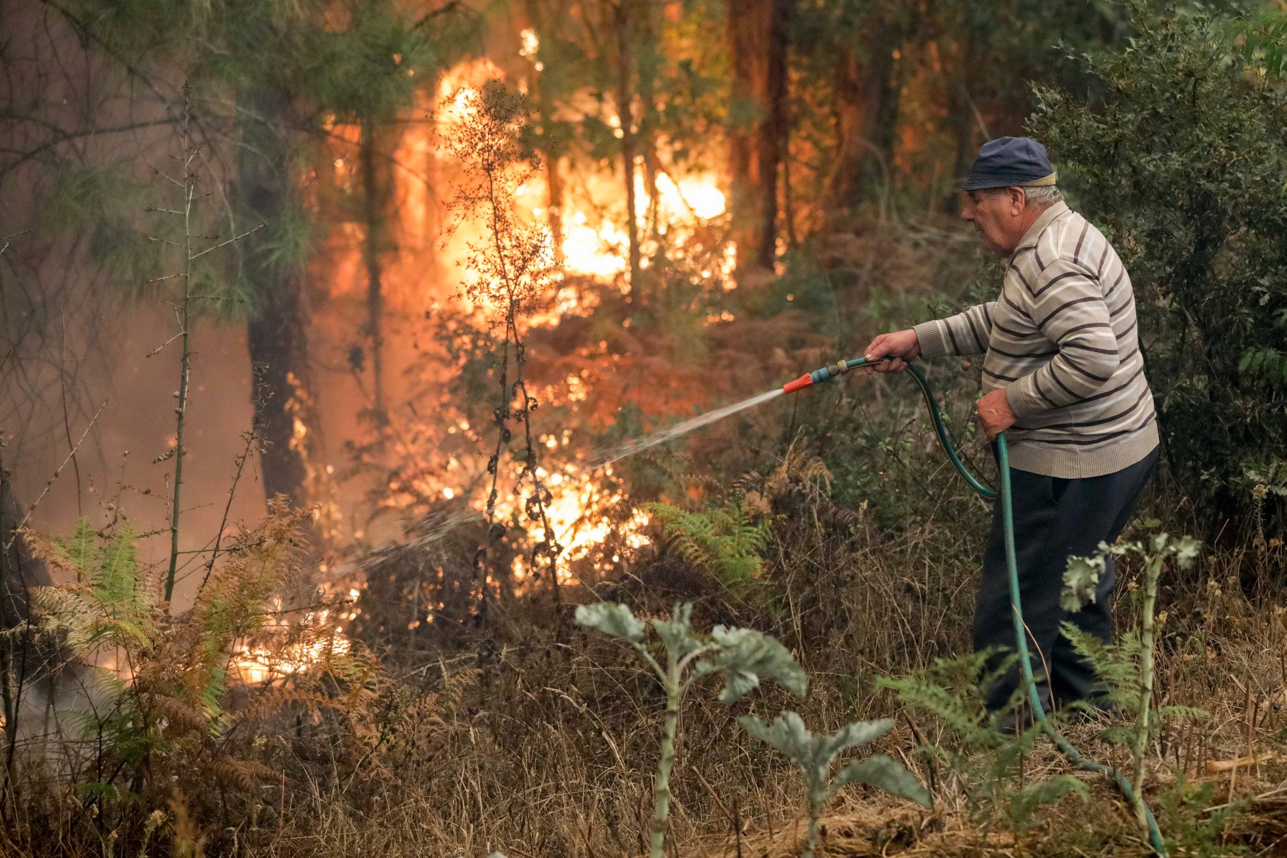 Incêndios: Câmara de Arganil garante que não há populações sem assistência