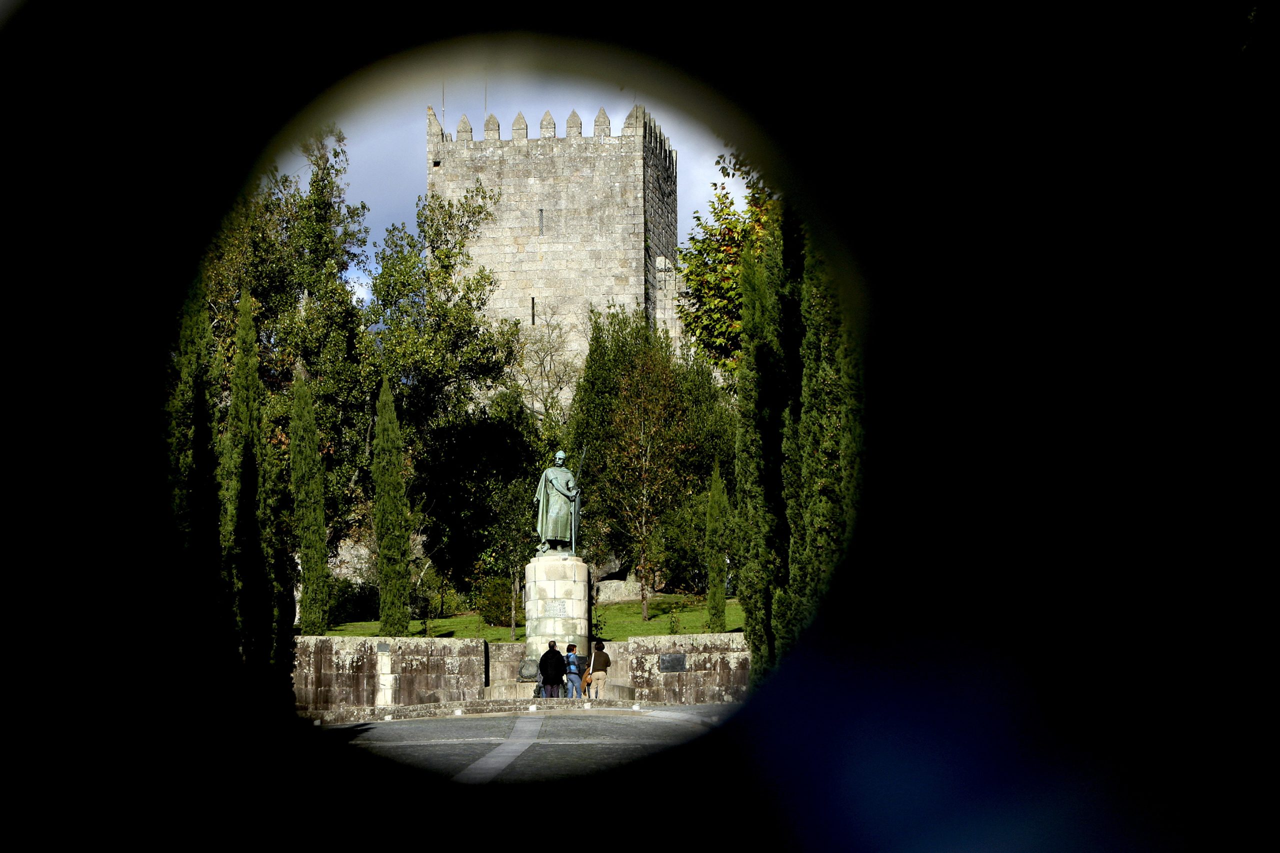 Praga de percevejos asiáticos em Guimarães coloca população a viver em “desespero”