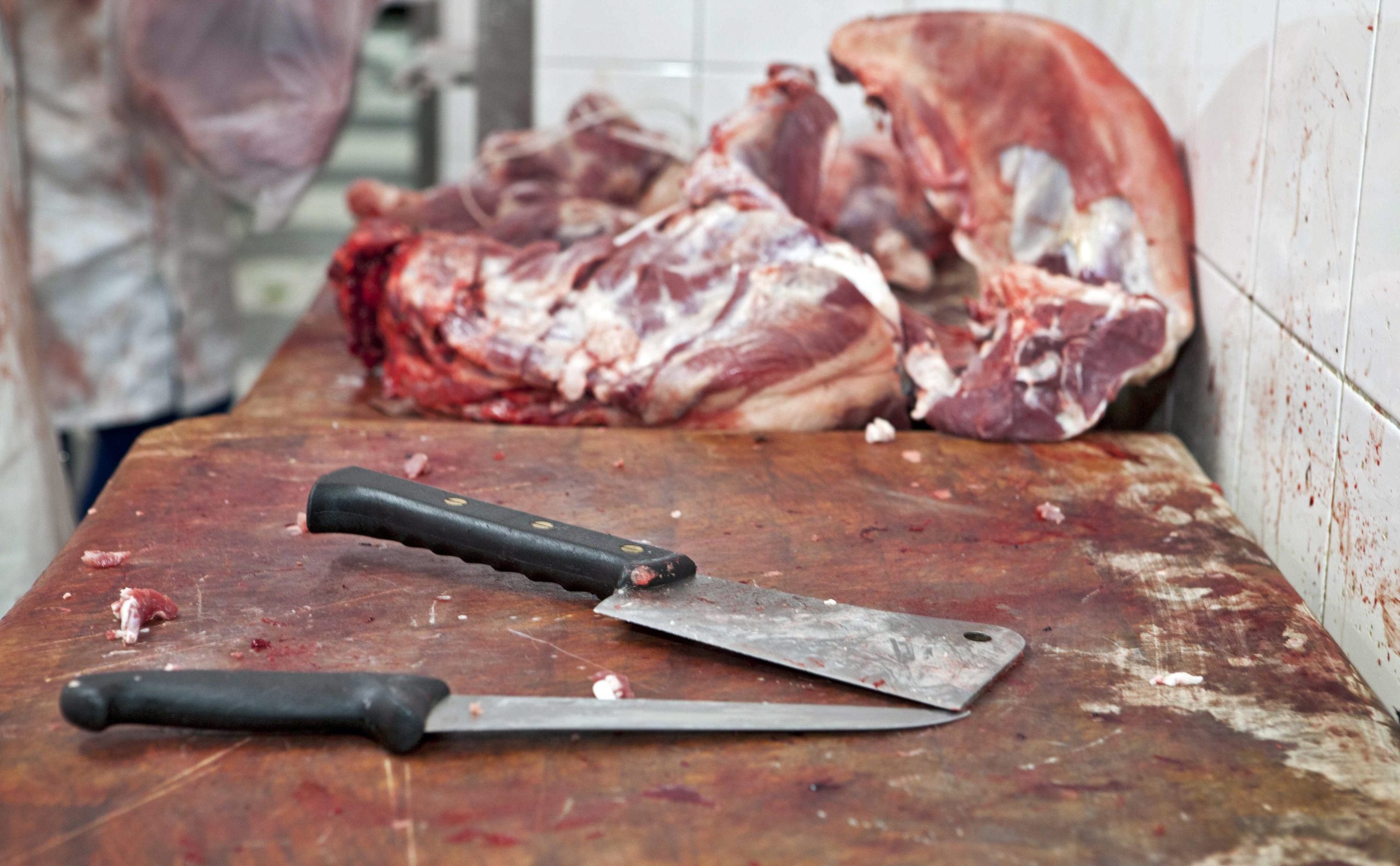 “Cozinha dos Ganhões” abre em Estremoz para promover gastronomia alentejana