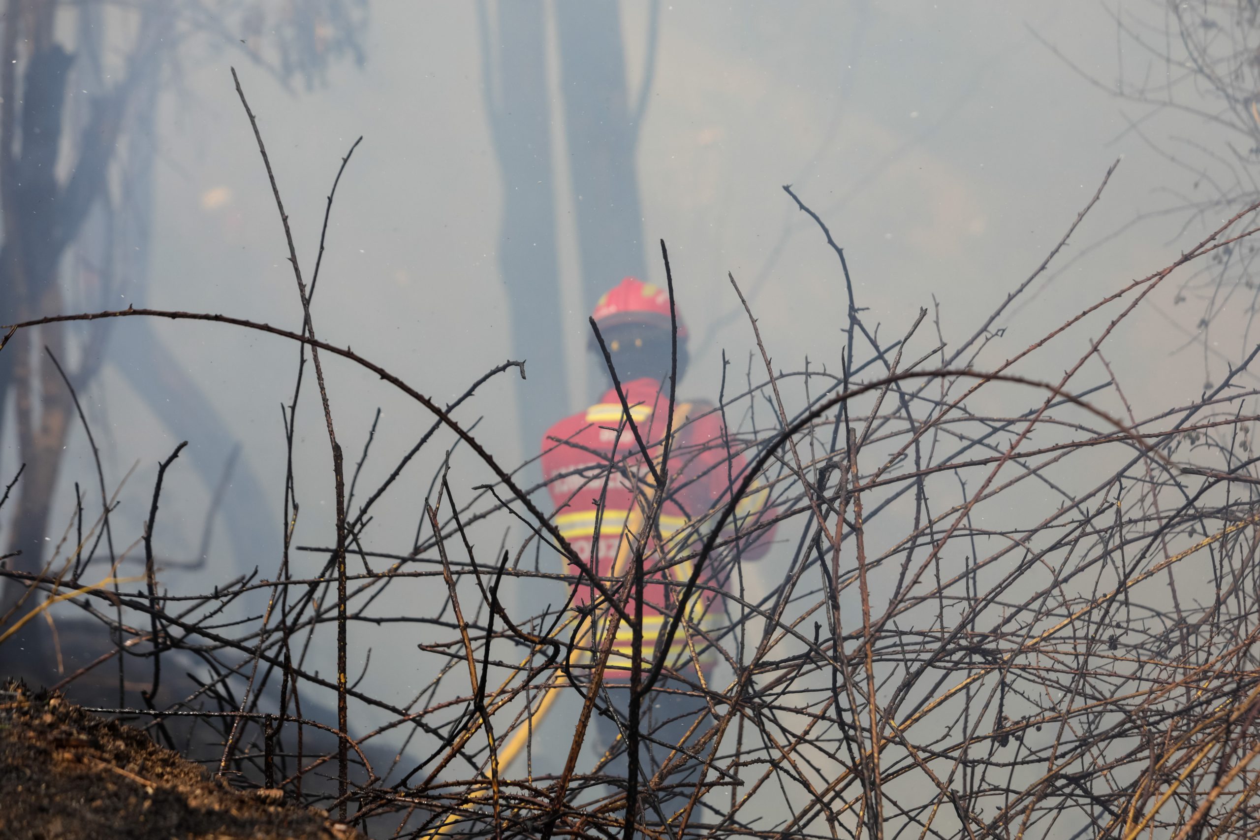 Incêndios: Antigo IP5 cortado na zona da Guarda