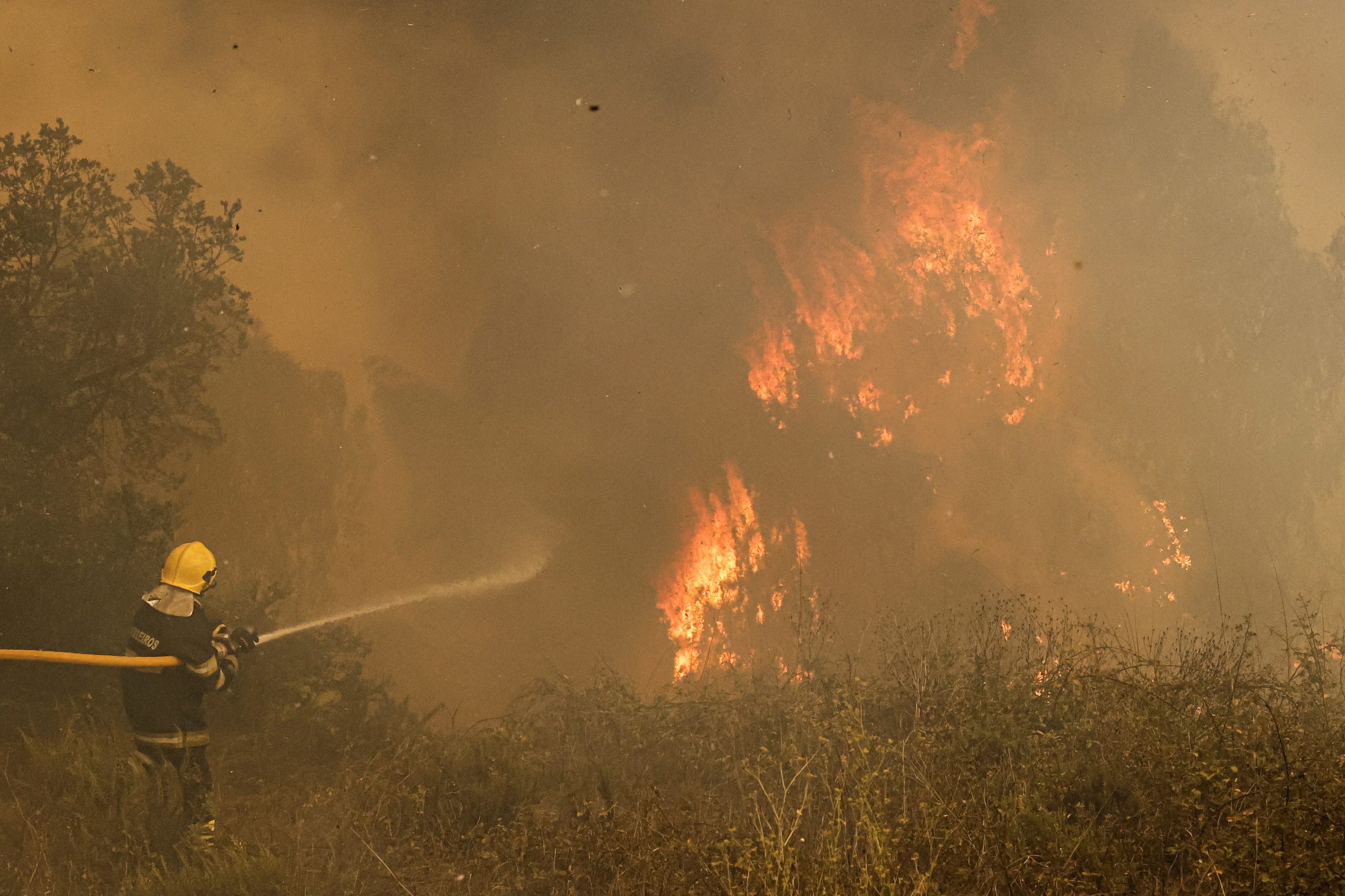 Quatro meios aéreos e 107 operacionais combatem fogo na Trofa