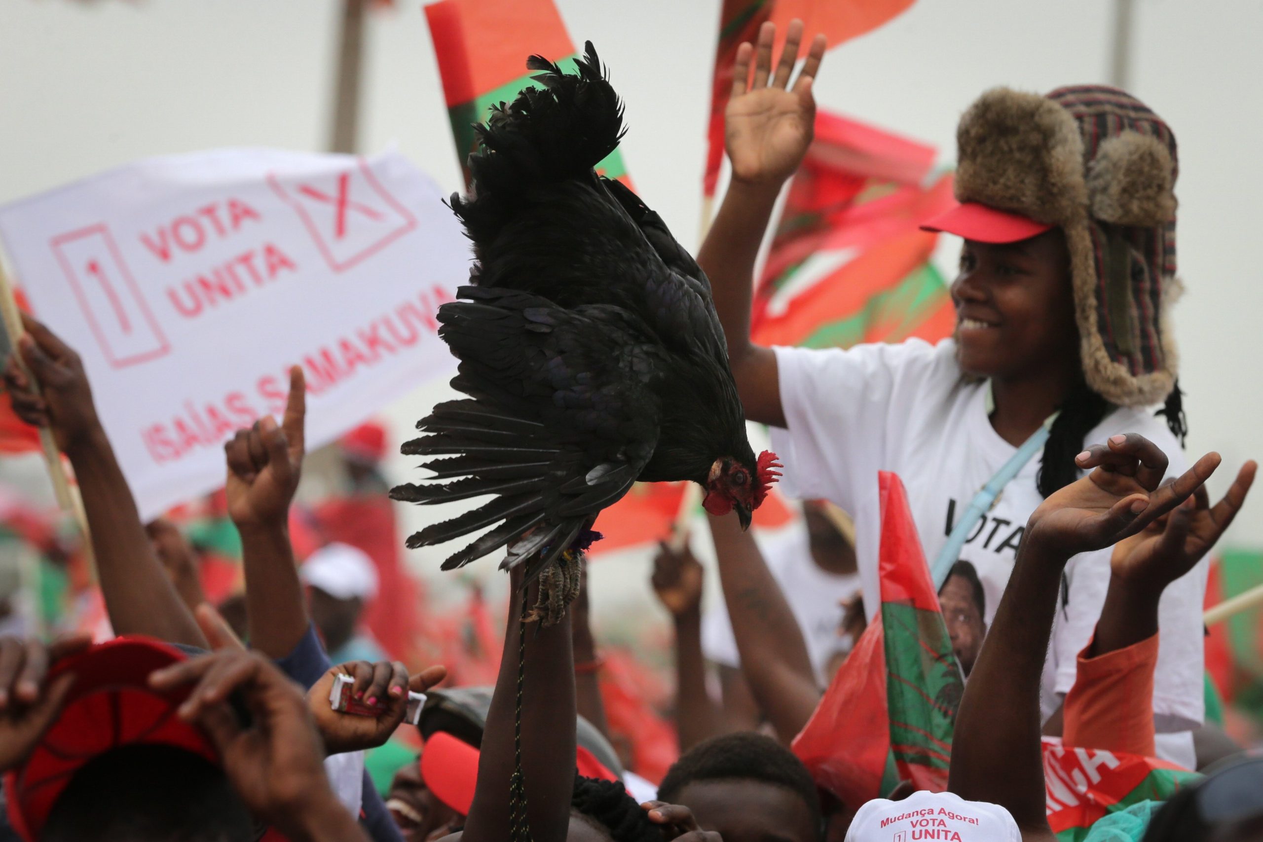 Vice-presidente da UNITA diz que Portugal “verga” sempre perante Angola