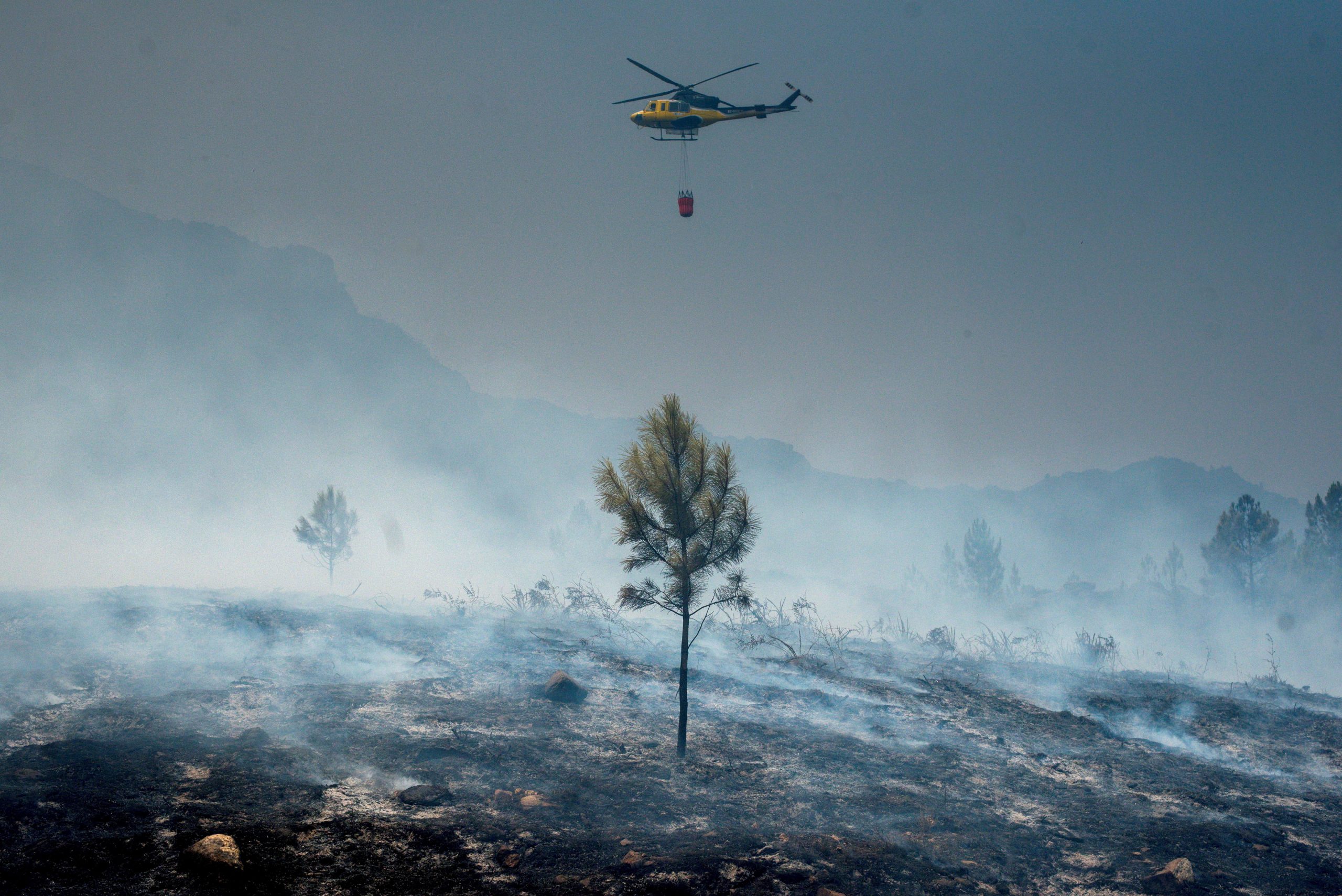 Incêndios: Fogo no parque Peneda-Gerês em resolução