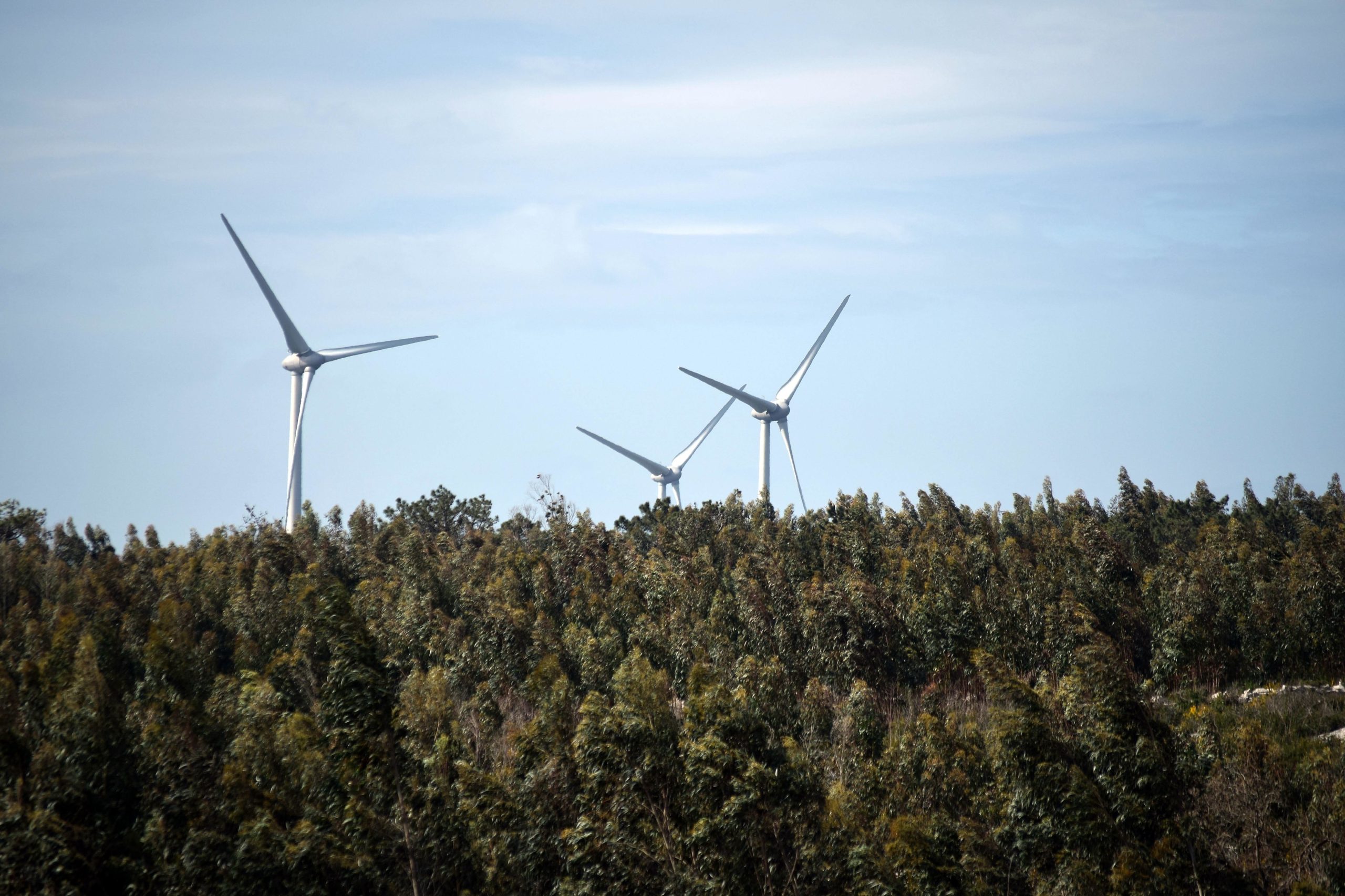 Energias Renováveis permitiram reduzir em seis milhões de toneladas as emissões de CO2