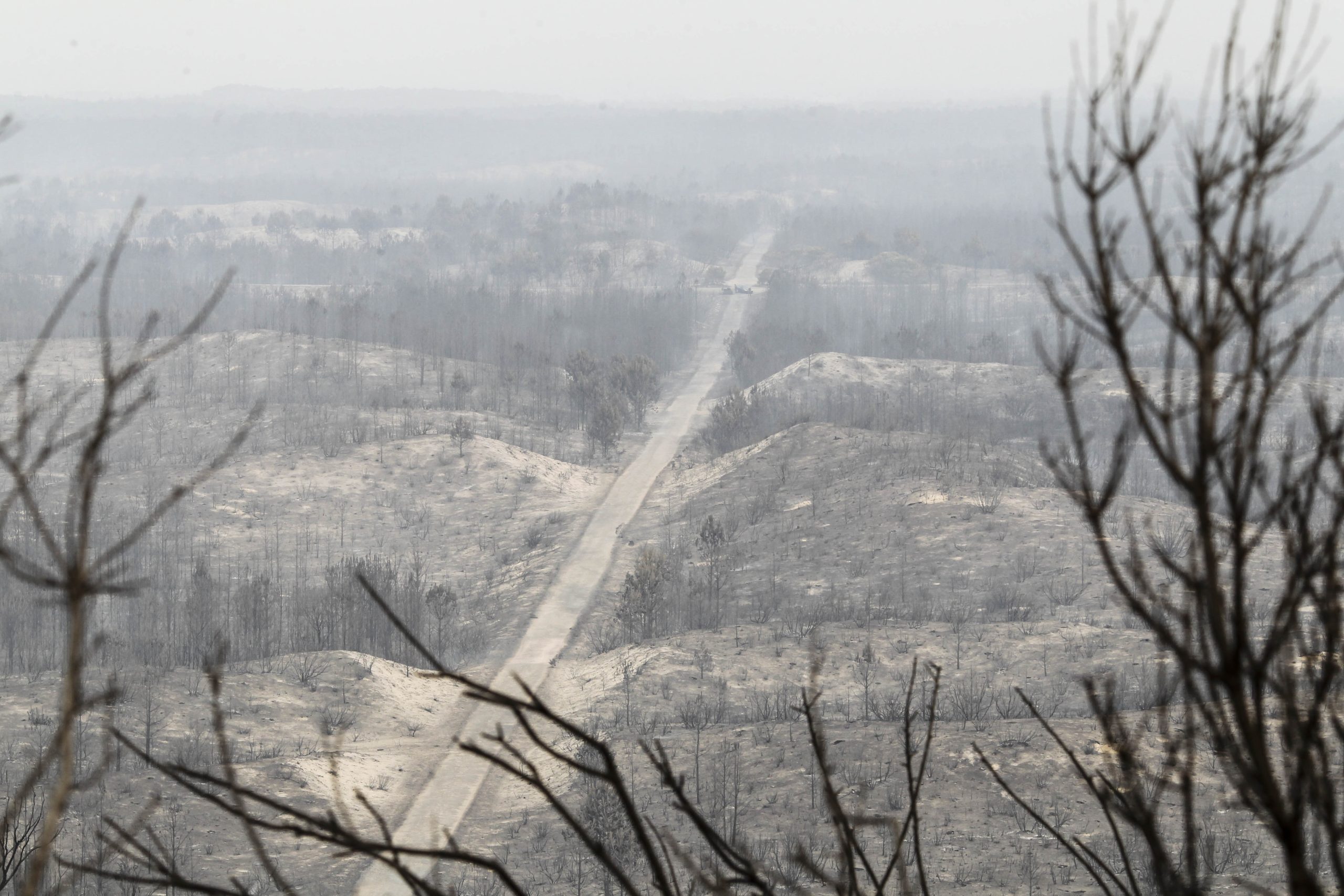 Incêndios. Uma casa ardida e bombeiros feridos em Leiria