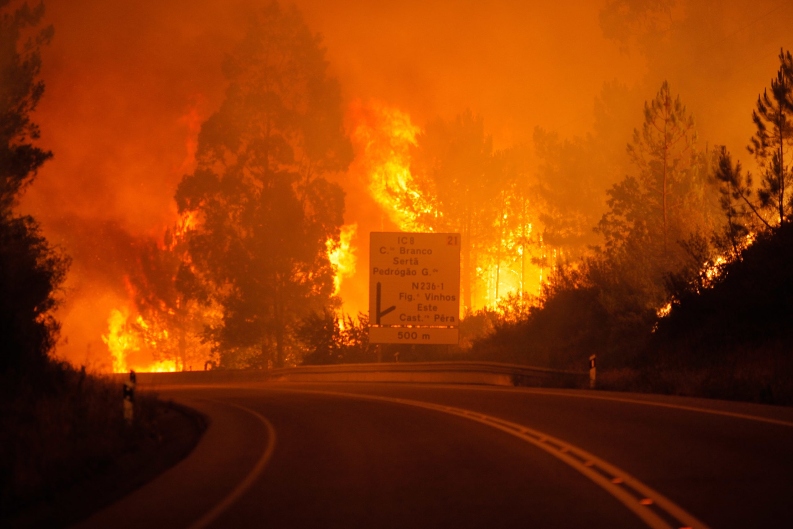 Grandes fogos como o de Pedrógão podem acontecer “em todo o lado”