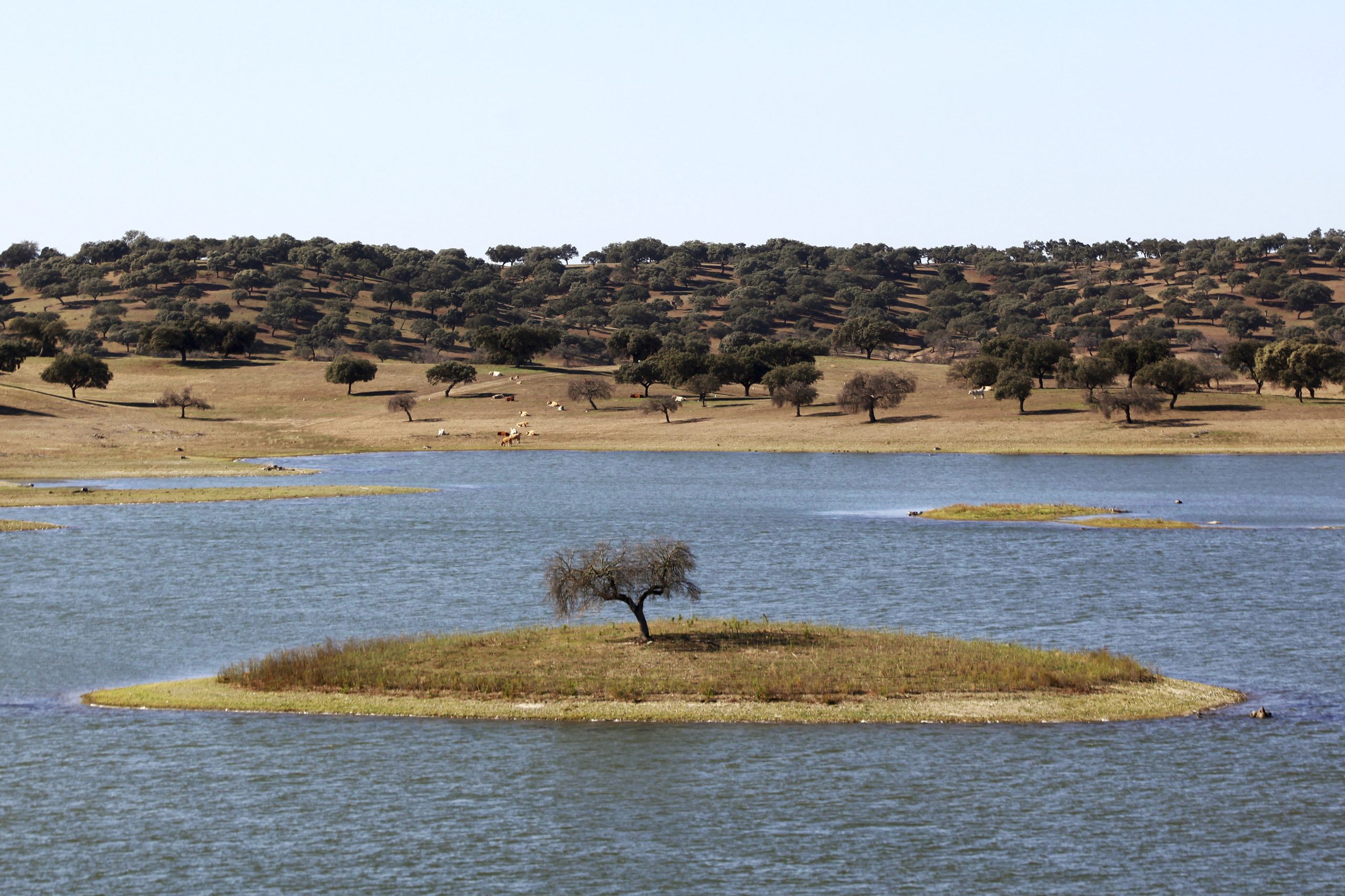 Nova praia fluvial no Alqueva que “nasce” na aldeia que deu nome à barragem já entrou em funcionamento