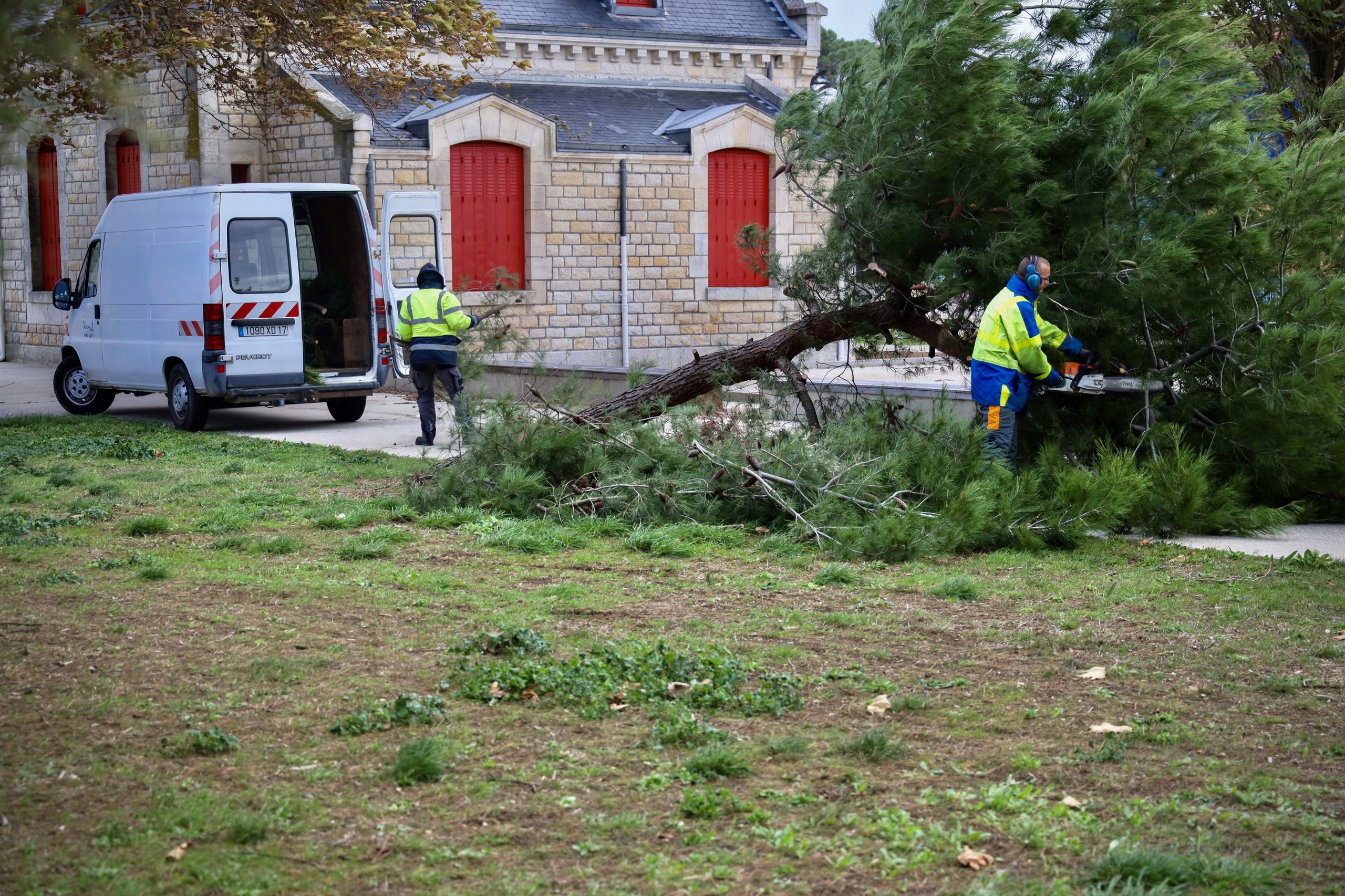 França: tempestade Ciarán traz ventos fortes e quedas de árvores. Um pessoa morreu