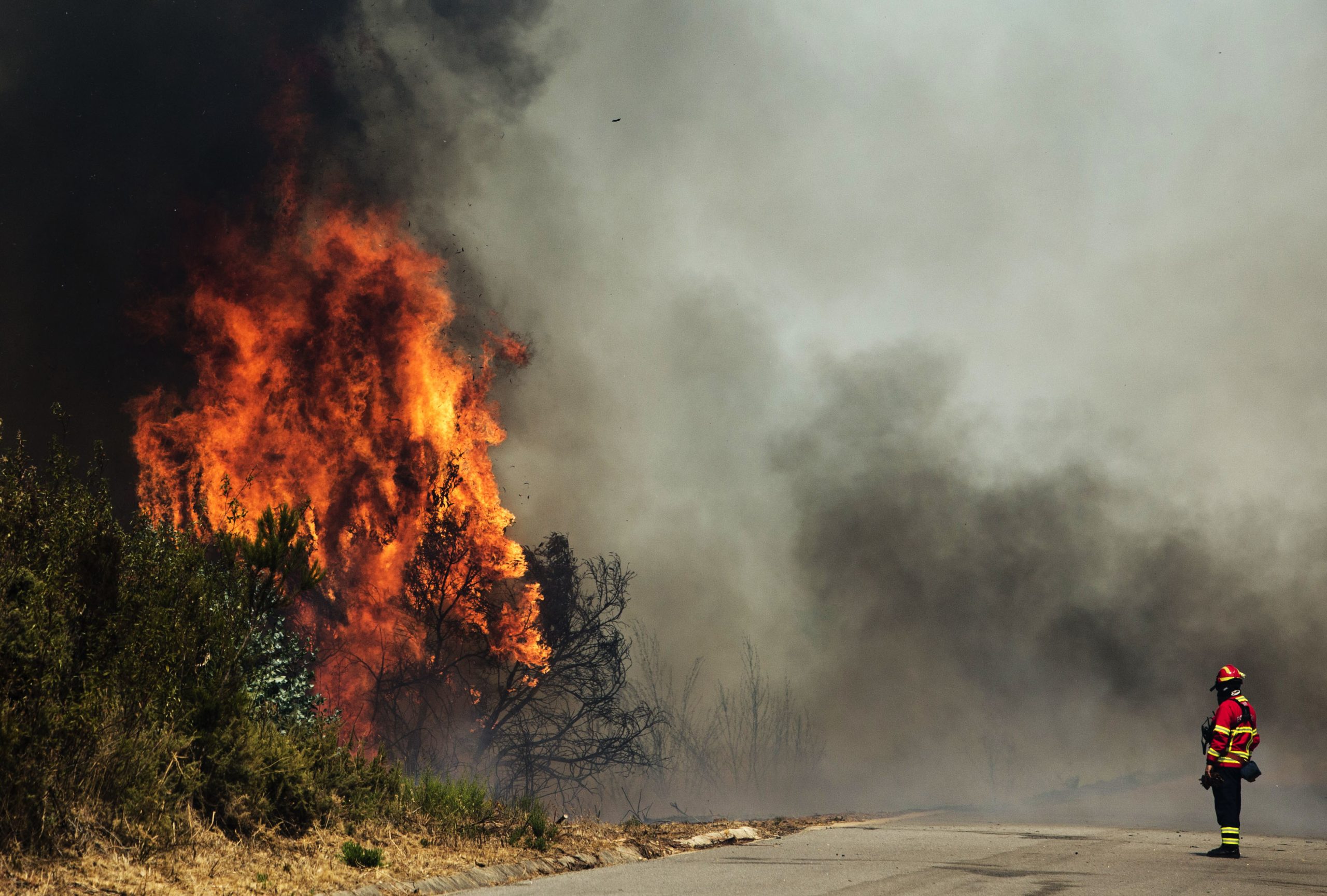 Fogo no Algarve tem duas frentes e autoridades esperam dominá-lo de madrugada