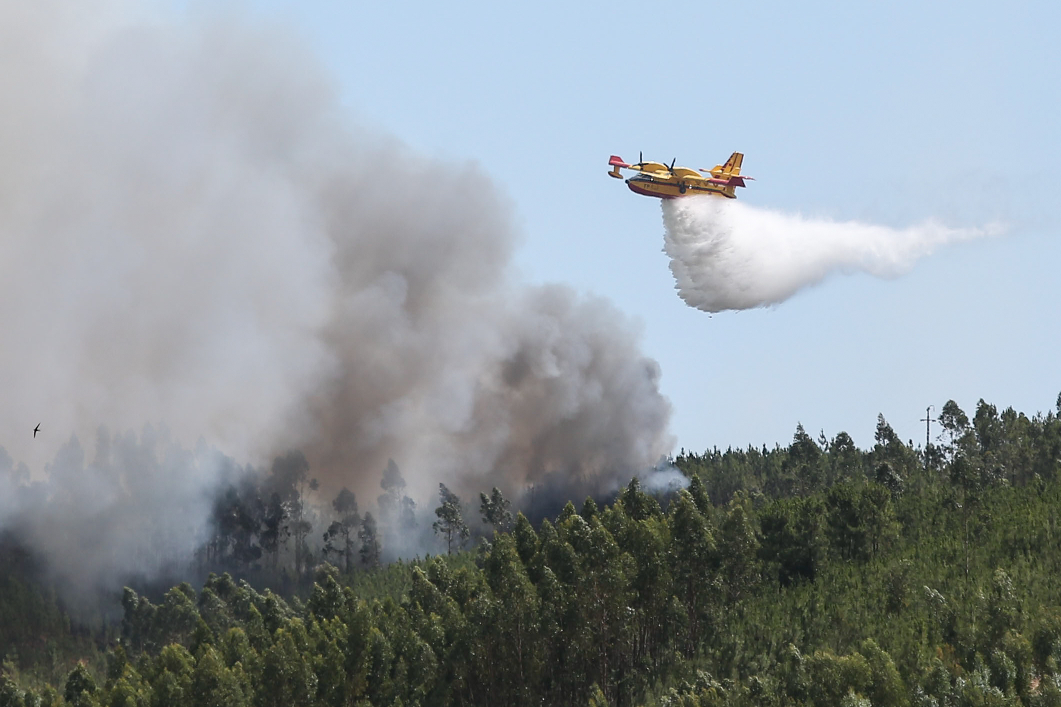 Serra do Montejunto sem combate aéreo a incêndios devido a furtos nos reservatórios
