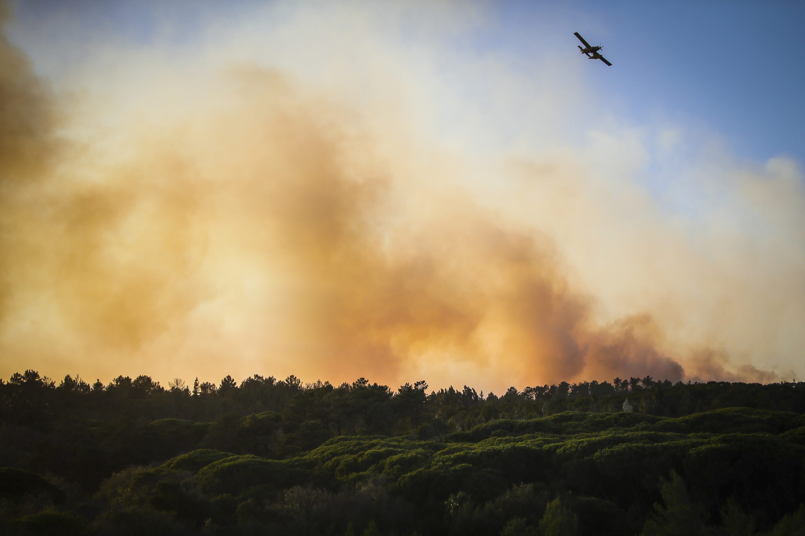 Incêndios: Trânsito na serra de Sintra reaberto provisoriamente