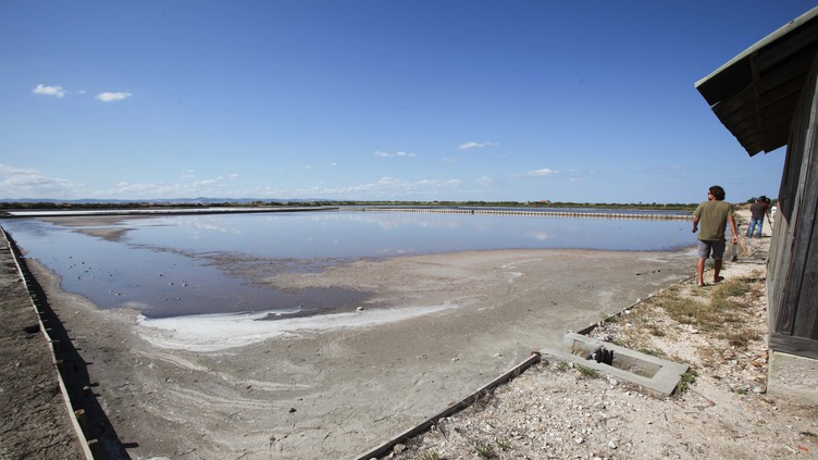 CDS quer candidatar Estuário do Tejo a Património Imaterial da Humanidade