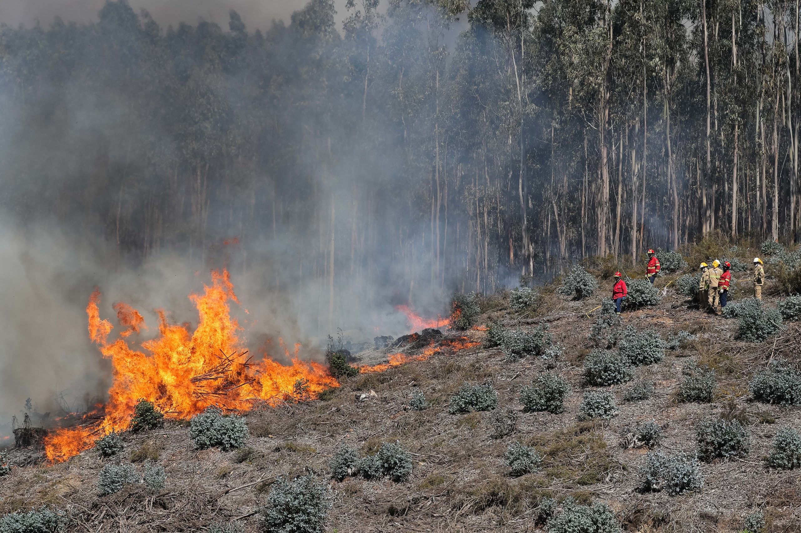 Fogo no Fundão está em resolução desde o início da manhã de hoje