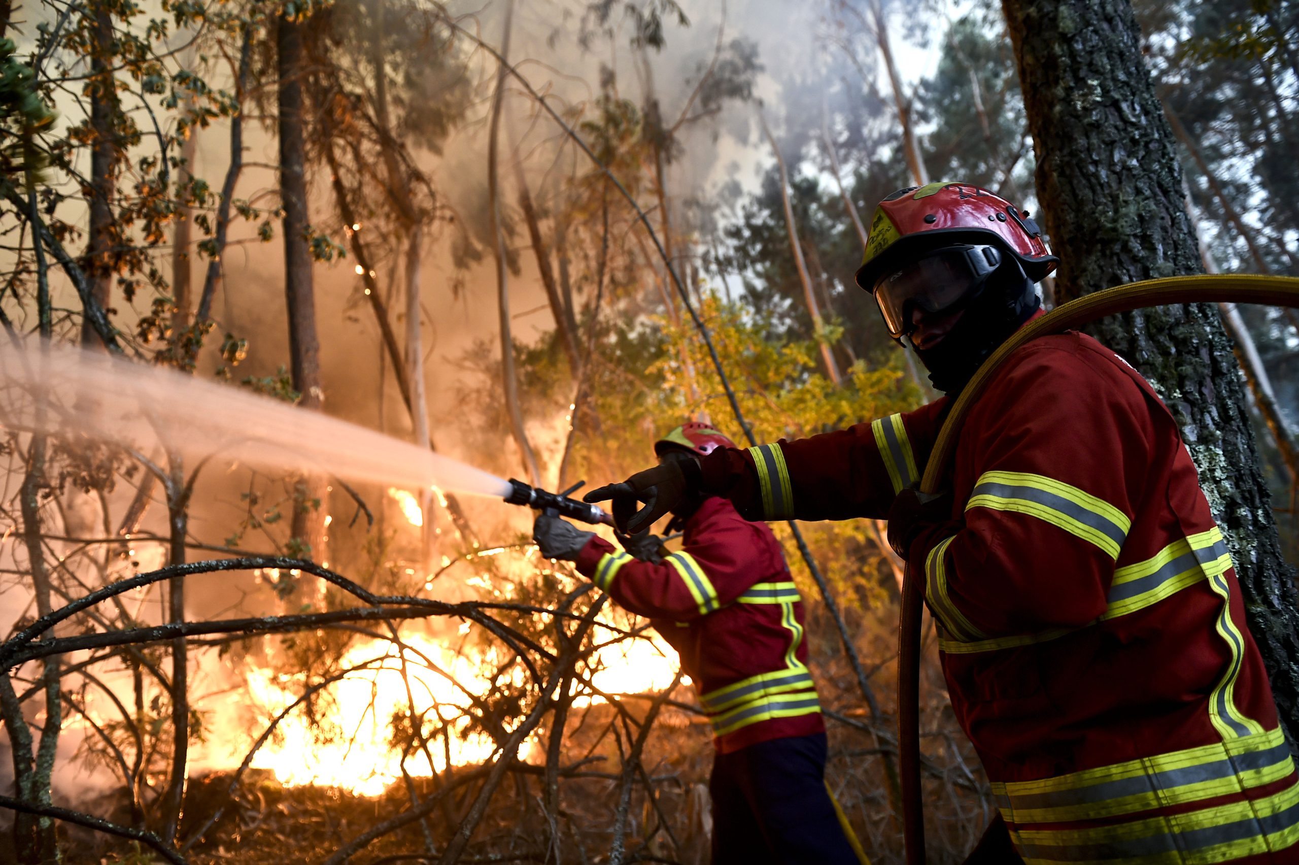 Vinte e oito concelhos do continente com risco “elevado” de incêndio
