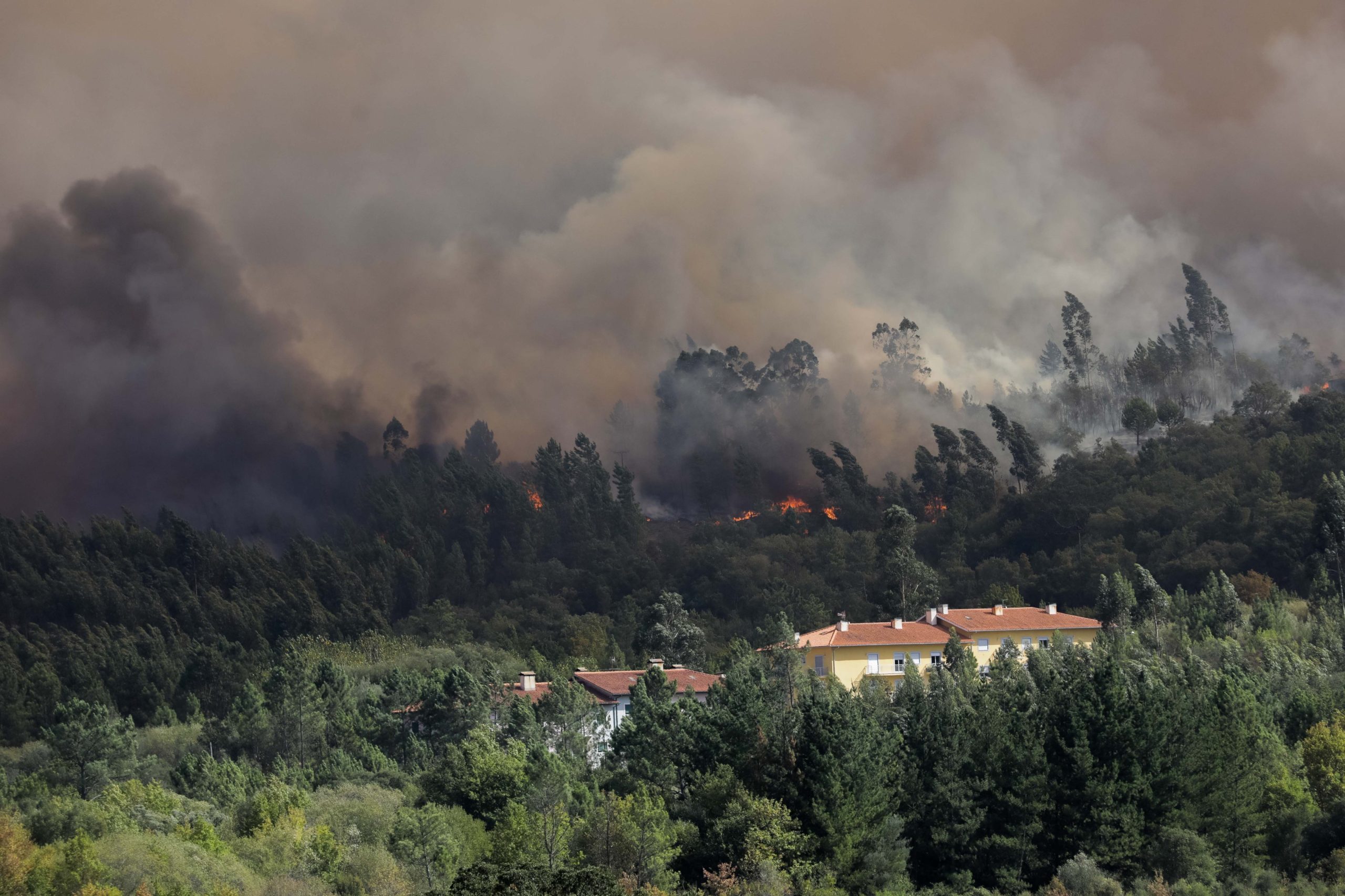 Incêndios: Sete municípios apoiados com mais de 15 milhões de euros para recuperação de infraestruturas