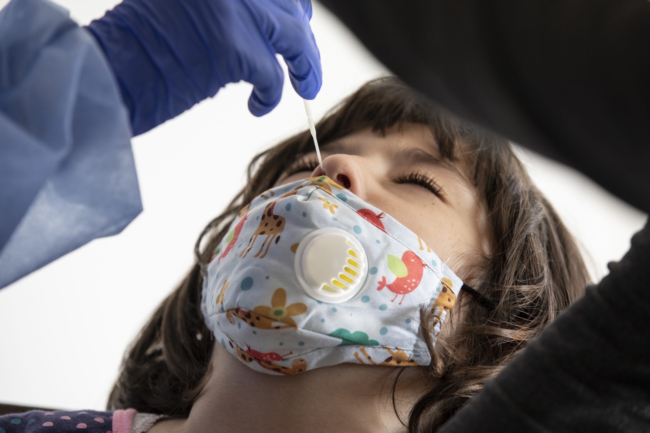 ECDC admite testes PCR com saliva como alternativa à zaragatoa nasofaríngea