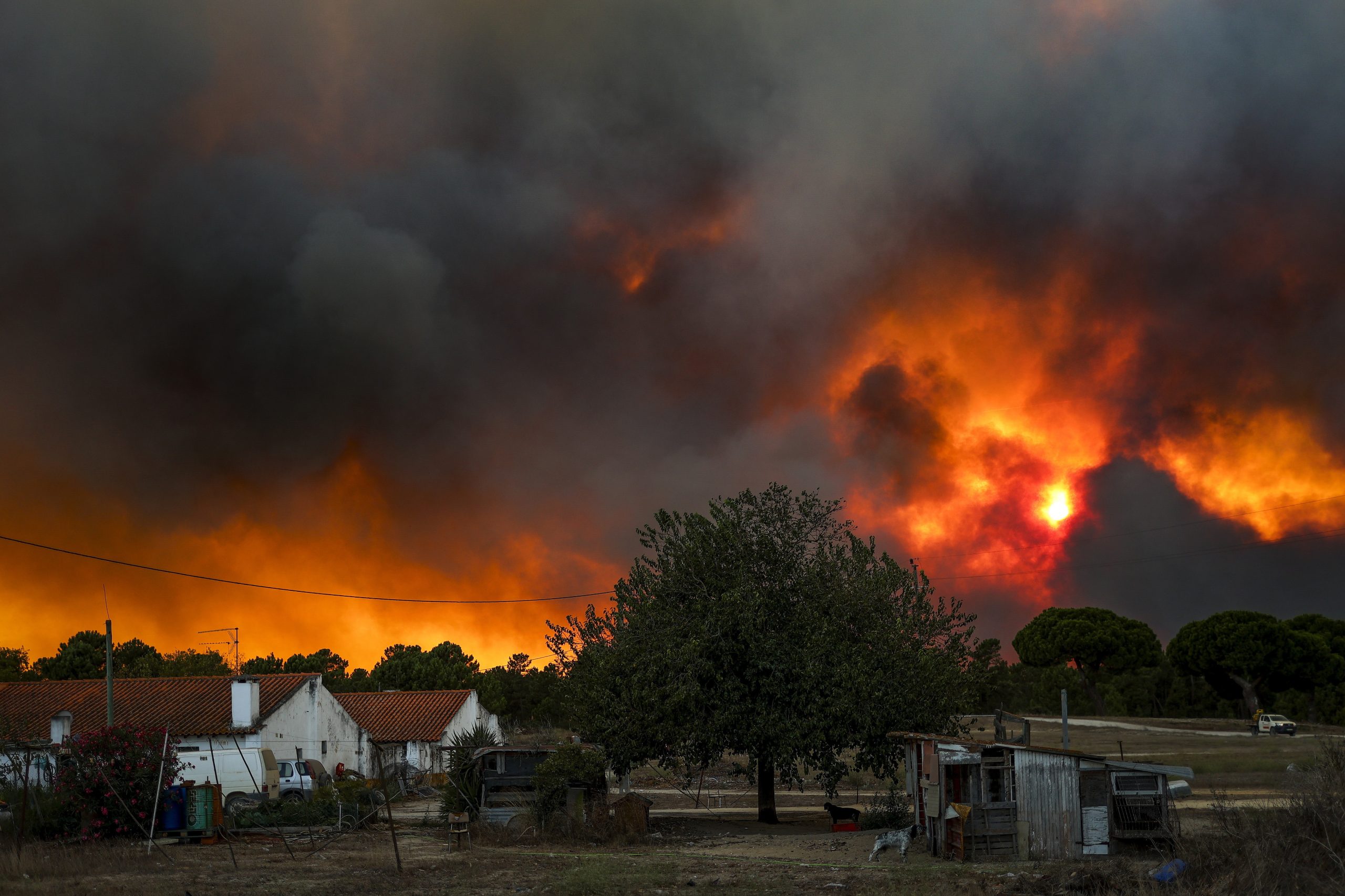 Incêndios: Dominado fogo no concelho do Seixal