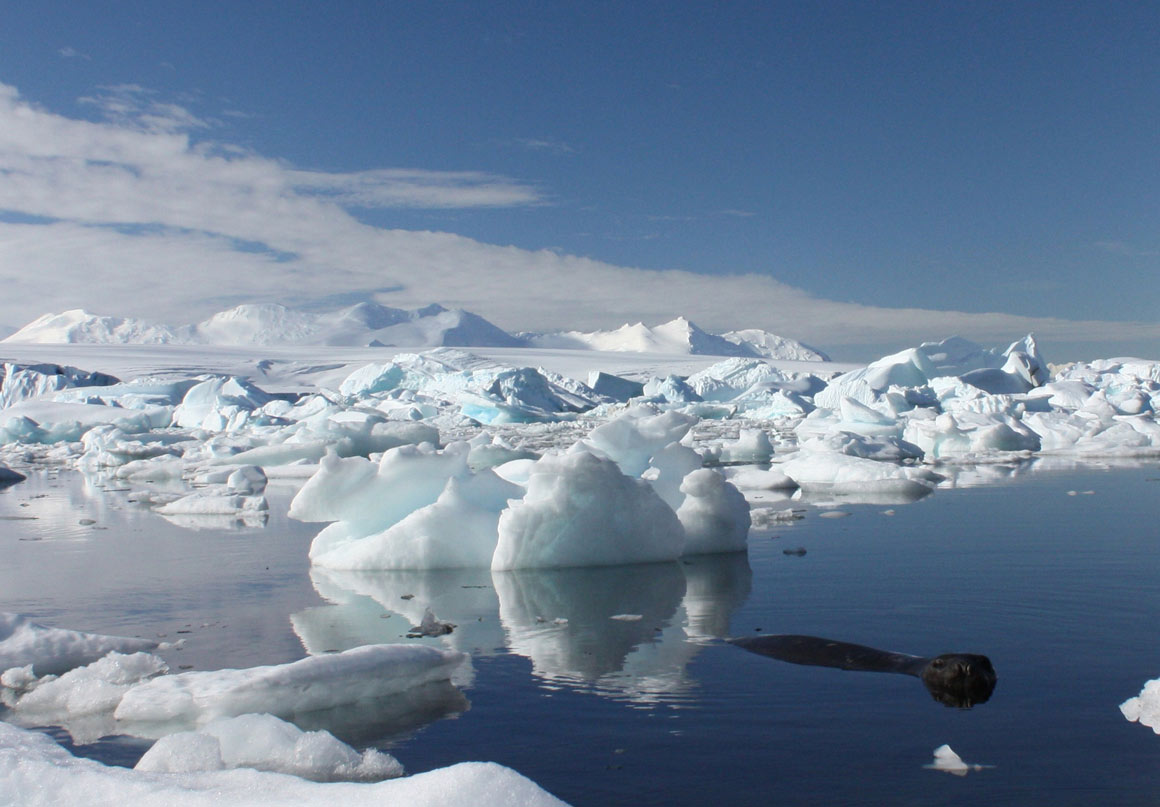 Cientistas associam novo processo de degelo antártico a subida rápida do nível do mar
