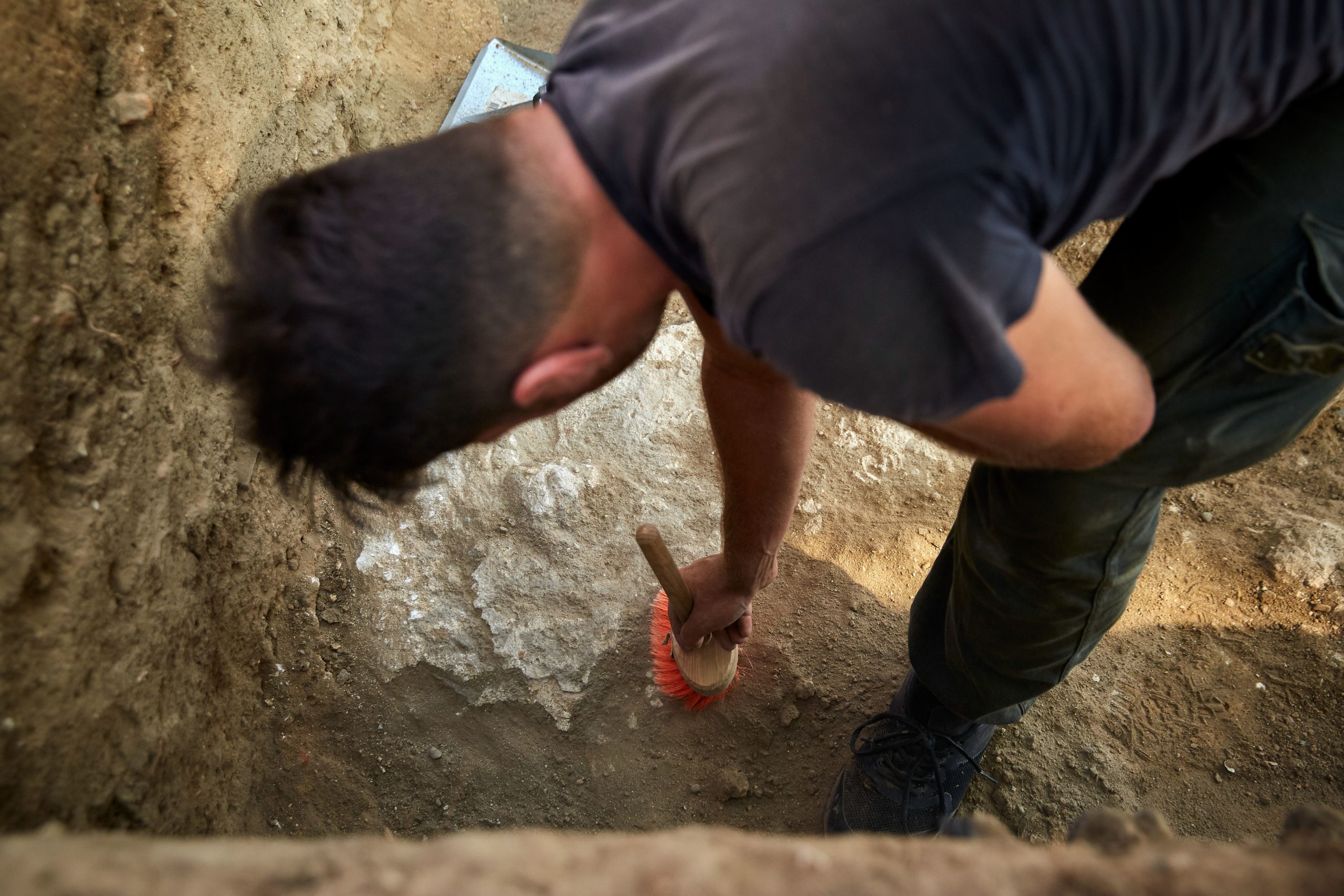 Paleontólogos descobrem em Oleiros fósseis nunca antes identificados em Portugal
