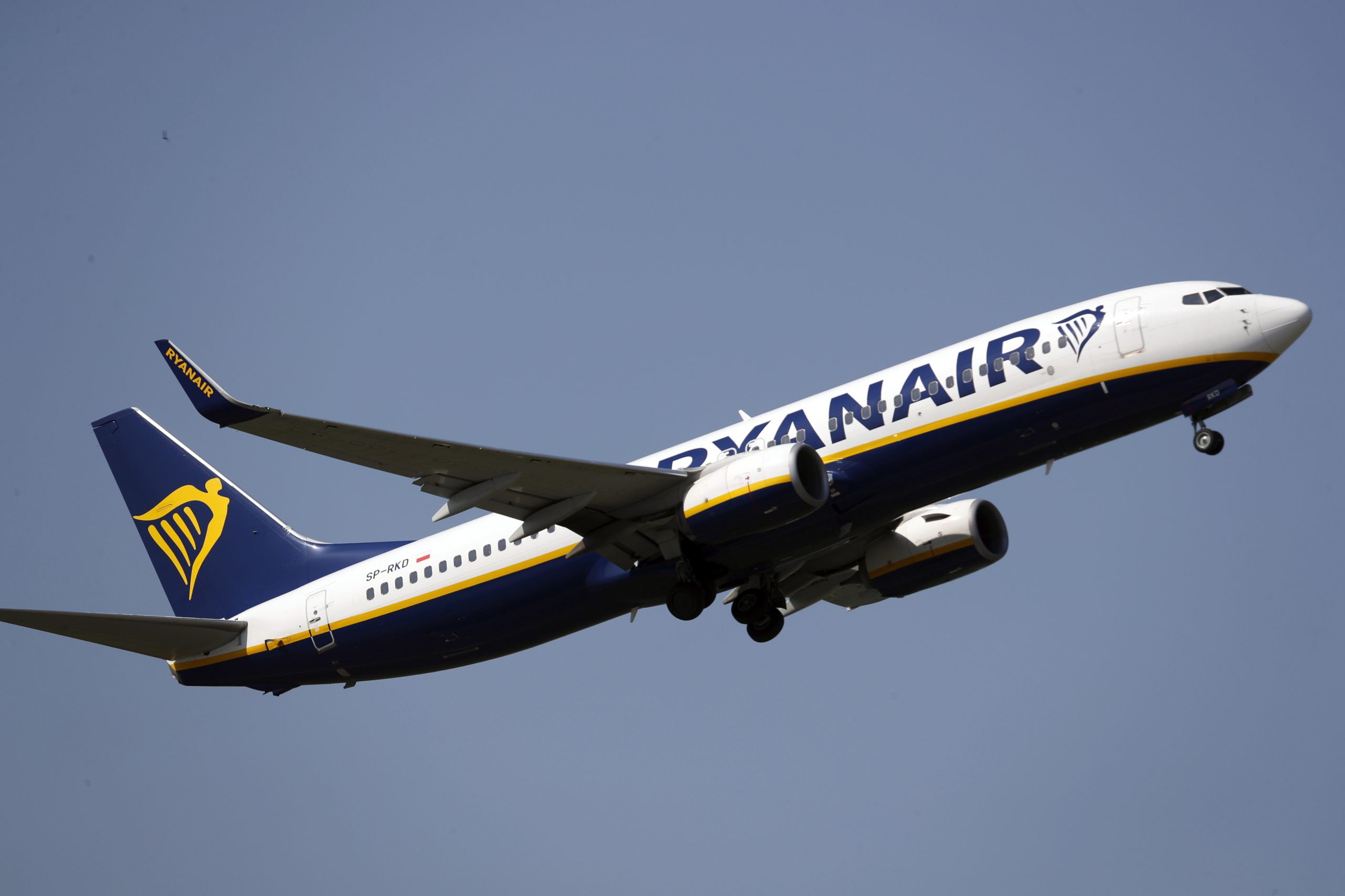 Avião da Ryanair aterra de emergência no Porto devido a problema com pássaros na pista