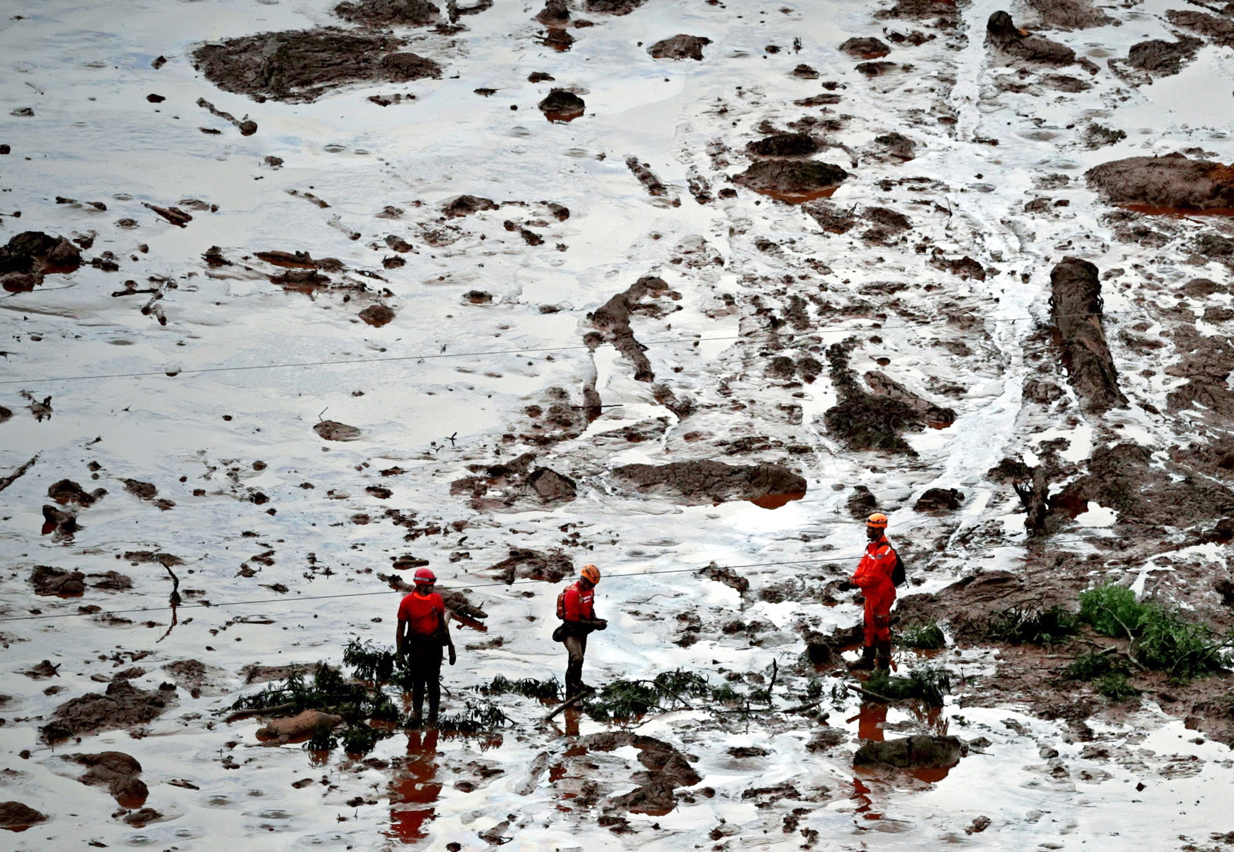 Investigadores dizem que há risco de surto de doenças infecciosas na sequência da rutura da barragem em Brumadinho