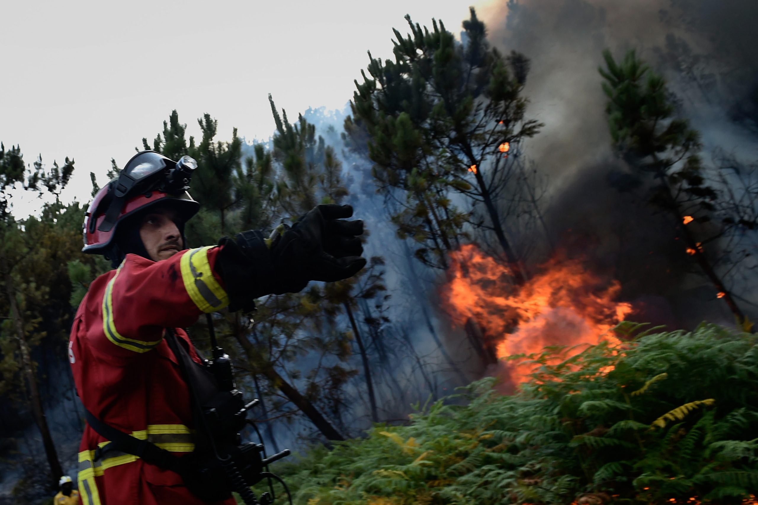 Liga vai propor ao Governo memorial nacional de homengem aos bombeiros