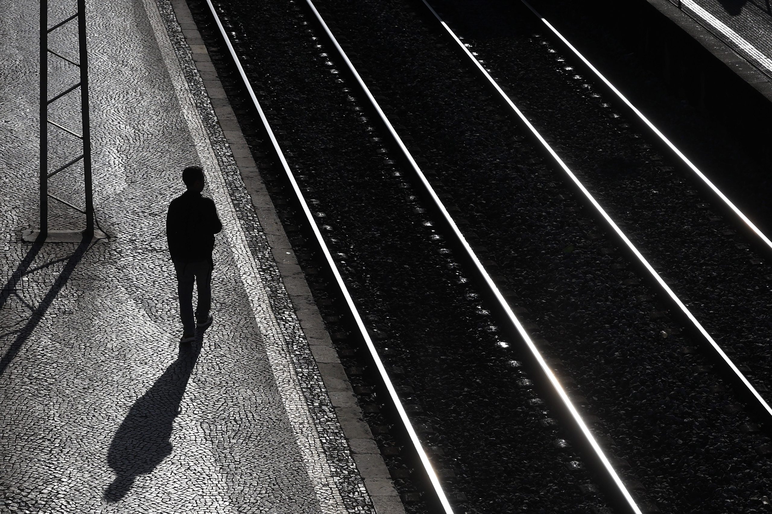Câmara de Anadia lança petição pública contra traçado da linha de alta velocidade. O que está em causa?