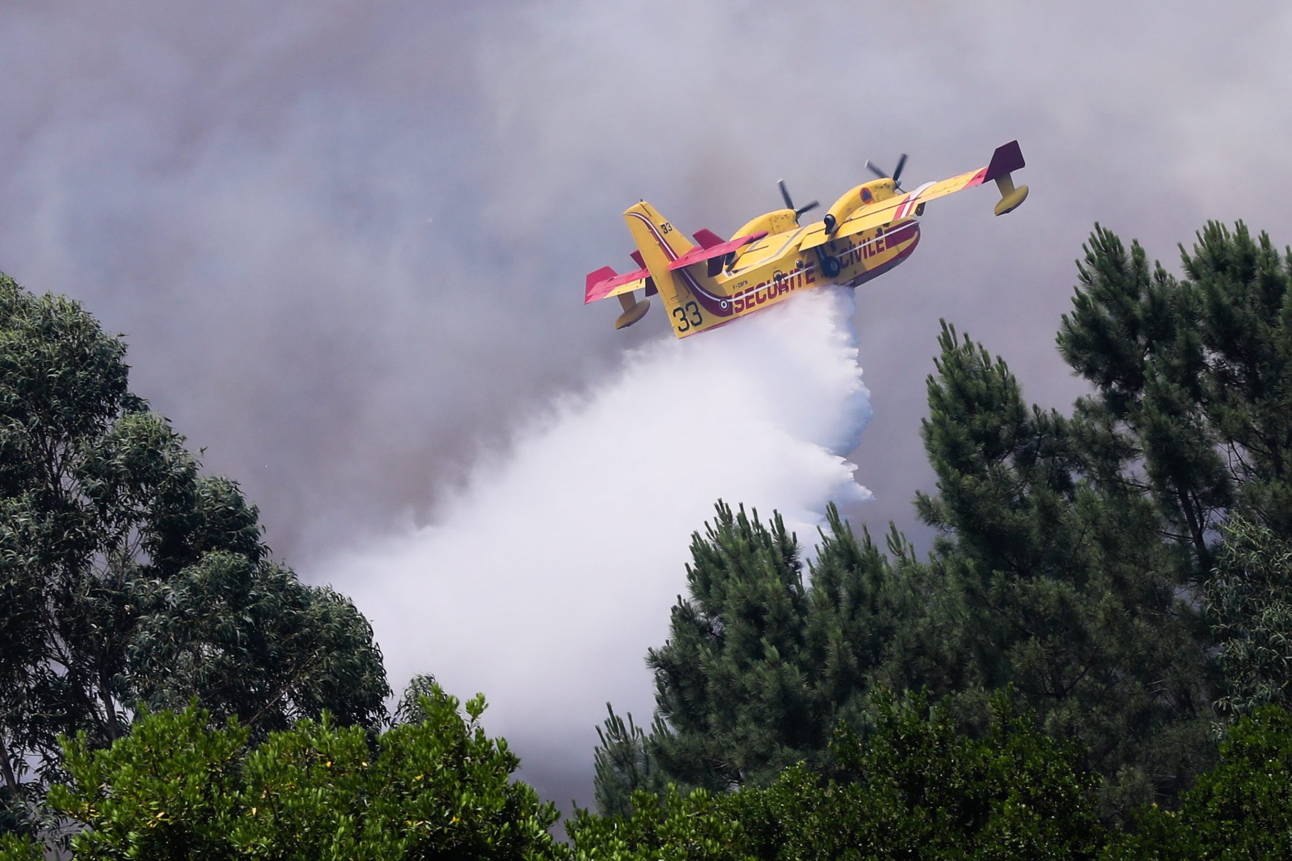 Por tão pouco, nem bombeiros nem aviões salvaram floresta e sustento de madeireiros