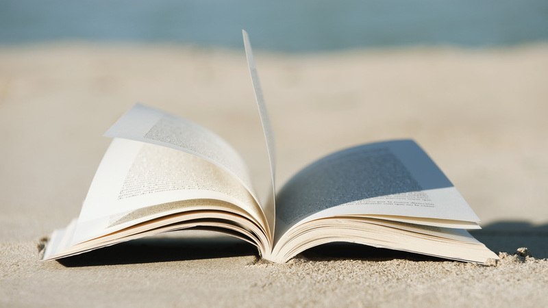Concurso público para plataforma de atribuição de cheque-livro abre em setembro
