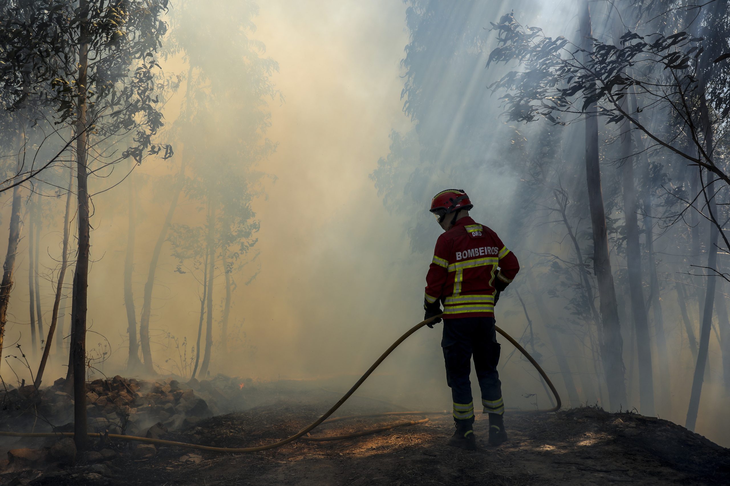 Incêndios: Fogo no Fundão foi dominado