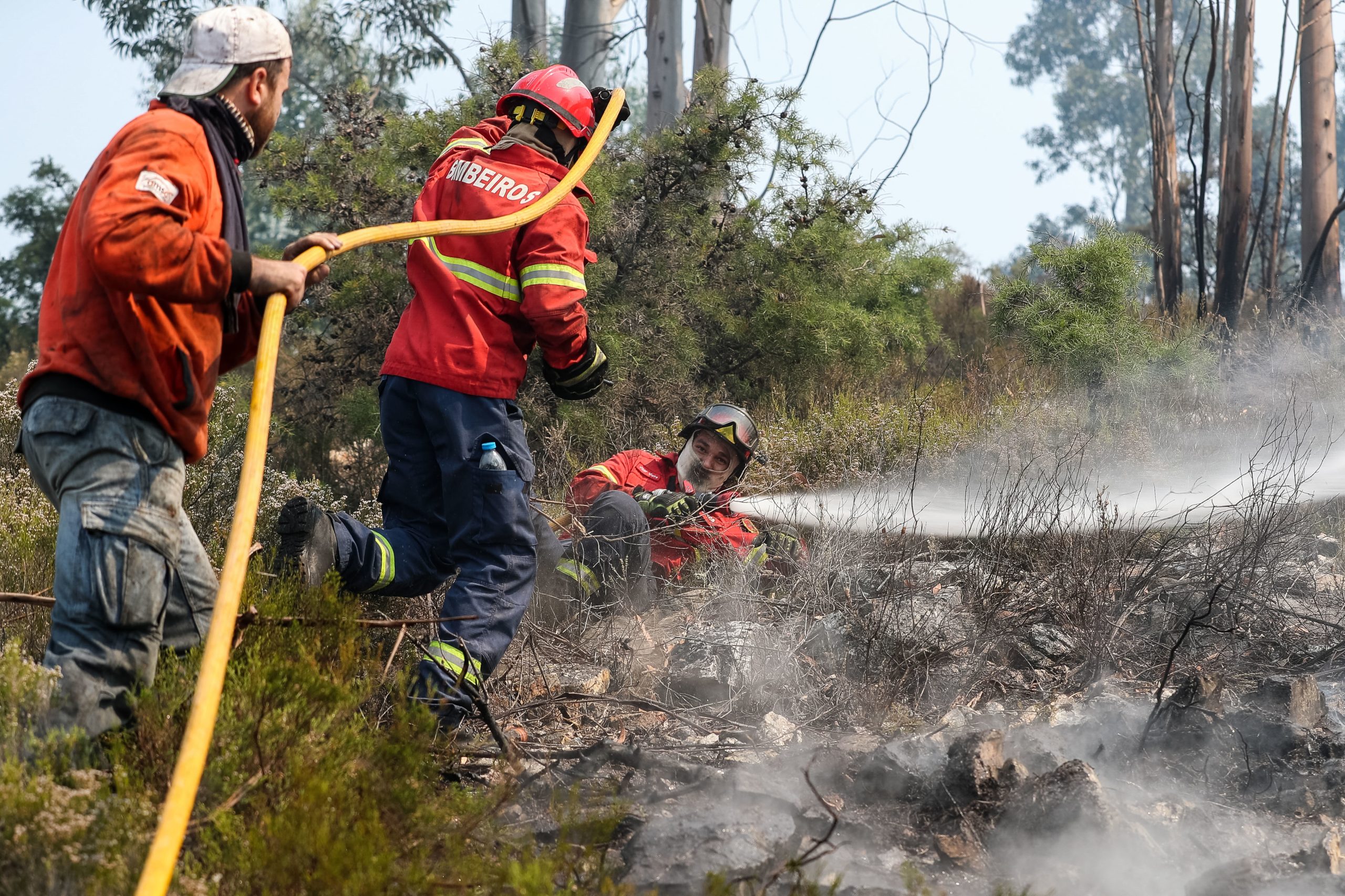 Incêndios. Padre de Cardigos pede à população para acolher a ajudar bombeiros
