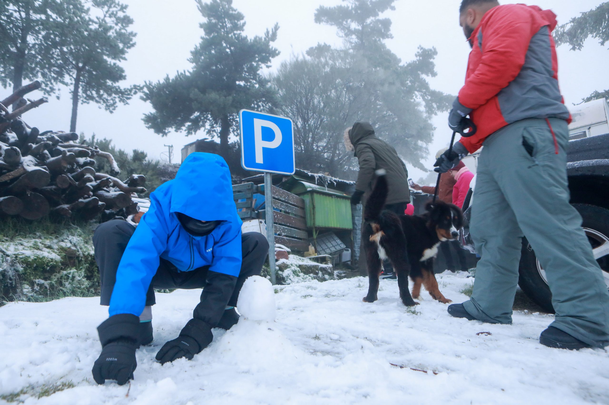 Guarda e Castelo Branco sob aviso amarelo devido a previsão de queda de neve