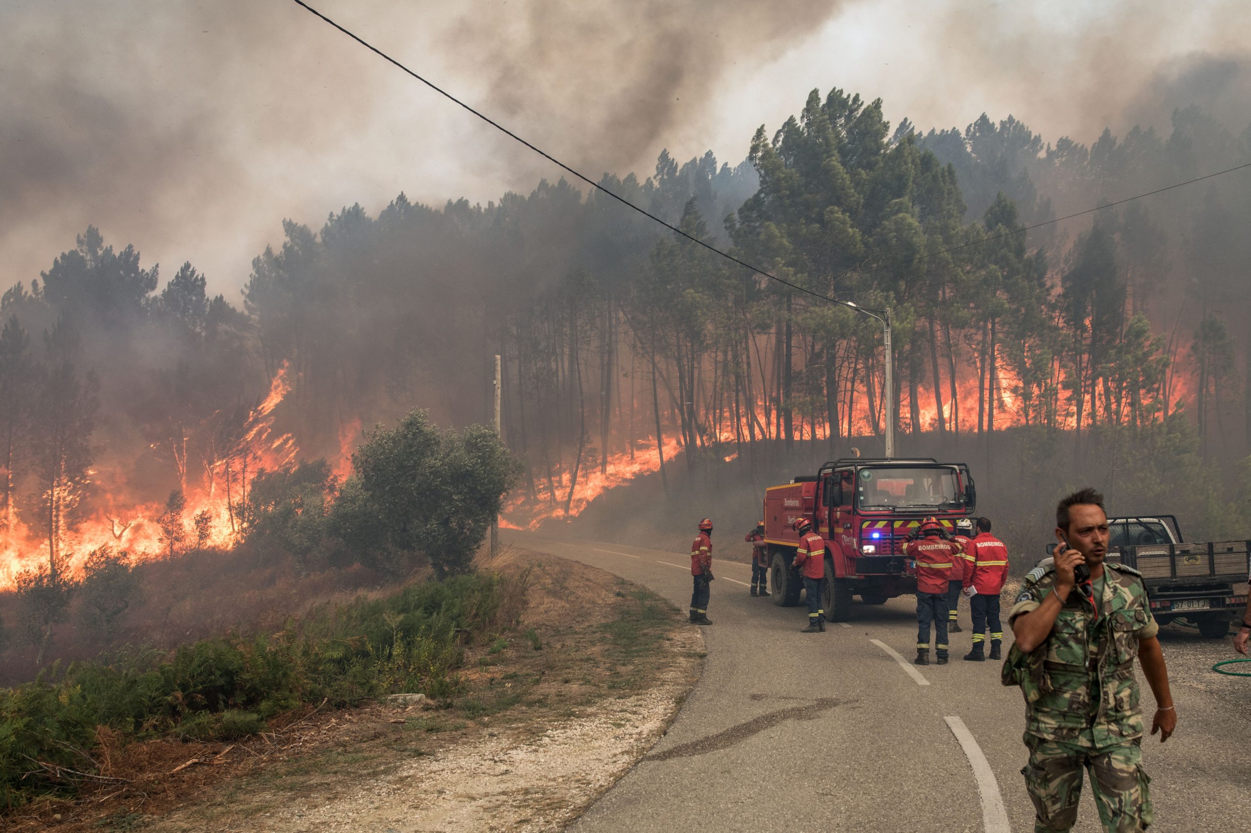 Sertã faz balanço “trágico” dos fogos e procura soluções para a economia