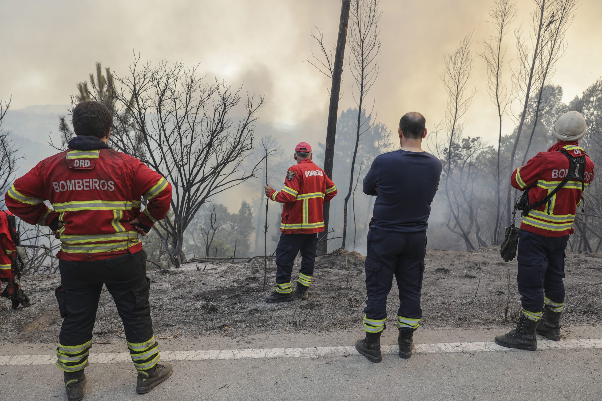 Incêndio de Monchique com 95% do perímetro dominado