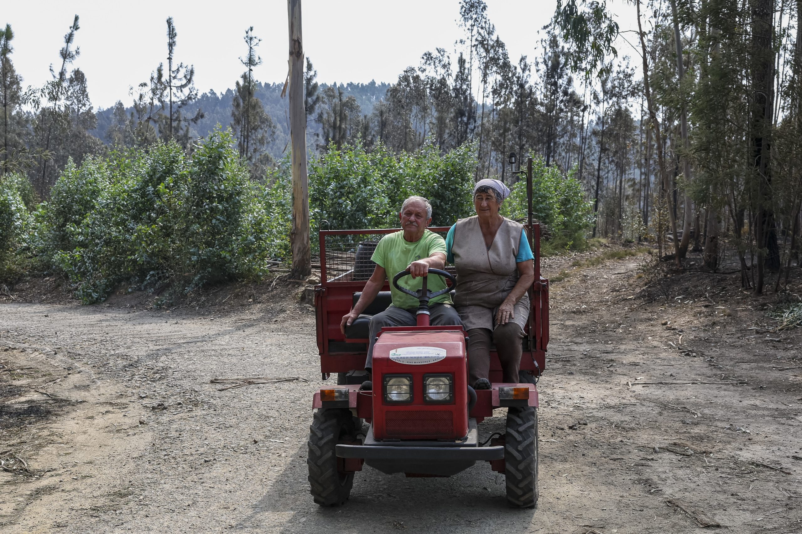 Em Vilarinho de São Luís suspeita-se de mão criminosa no fogo de Azeméis