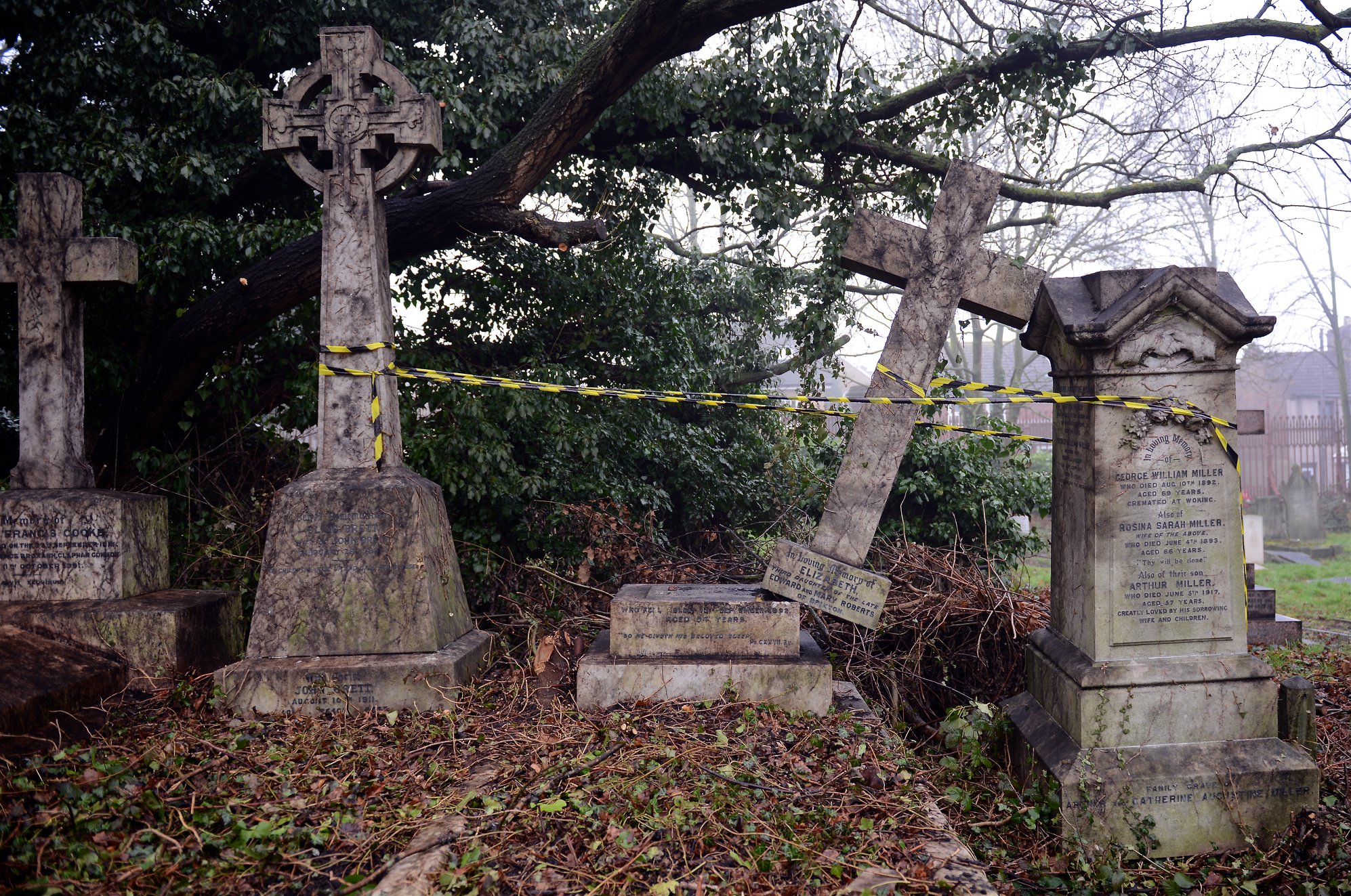 Excrementos de pombo e cadáveres visíveis. Gestão de cemitério em Londres gera críticas por colocar património em risco