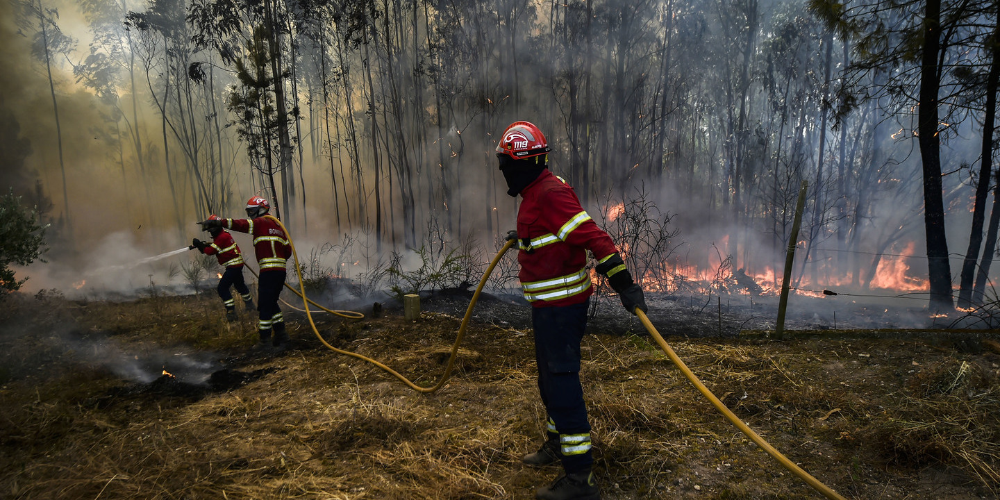 Incêndios: Fogo em Penalva do Castelo entrou em rescaldo
