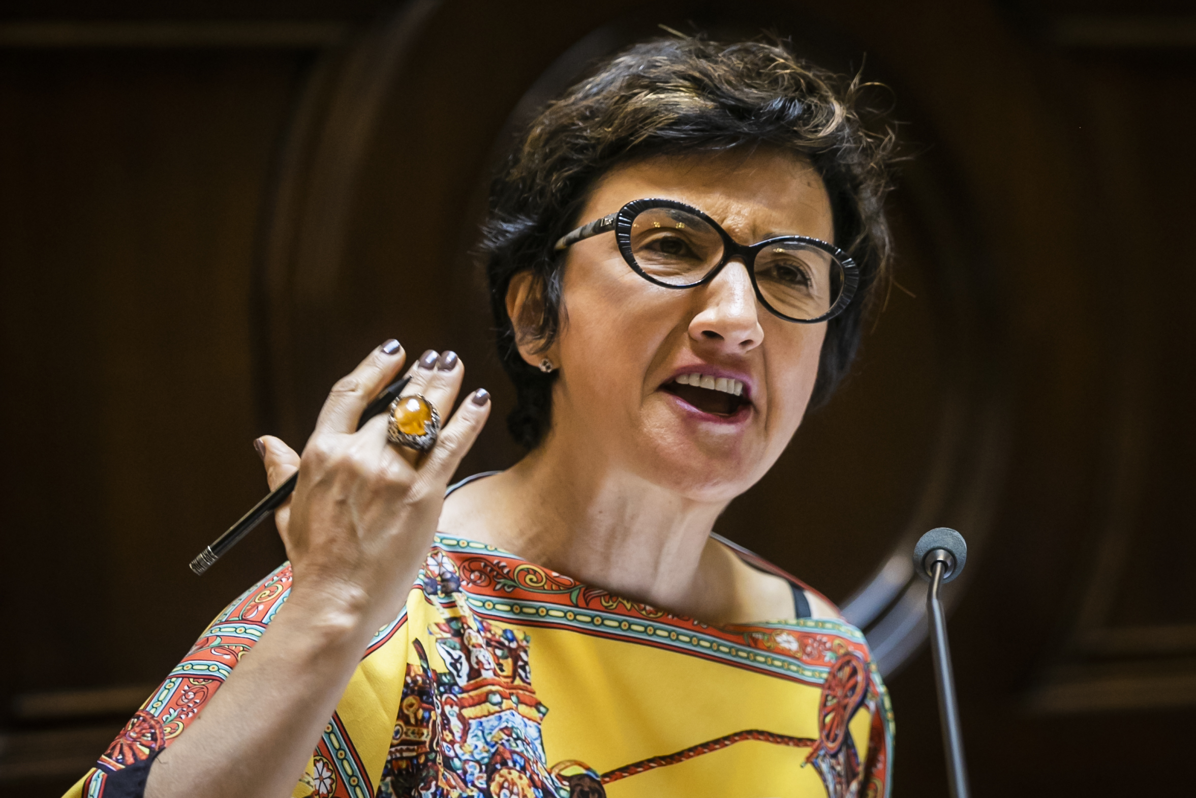 Objetivos climáticos da União Europeia implicam reforço financeiro, defende a ministra da Agricultura