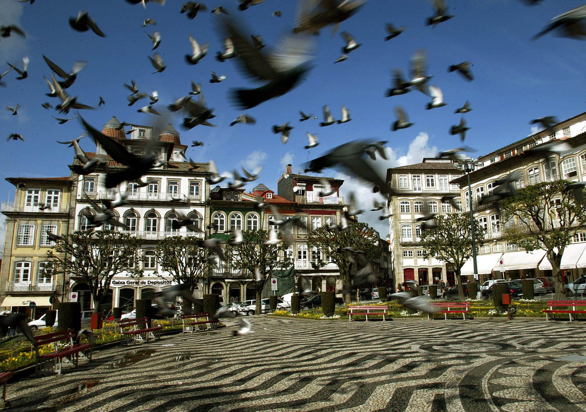 Guimarães apresenta candidatura a Cidade Verde Europeia a 25 de setembro