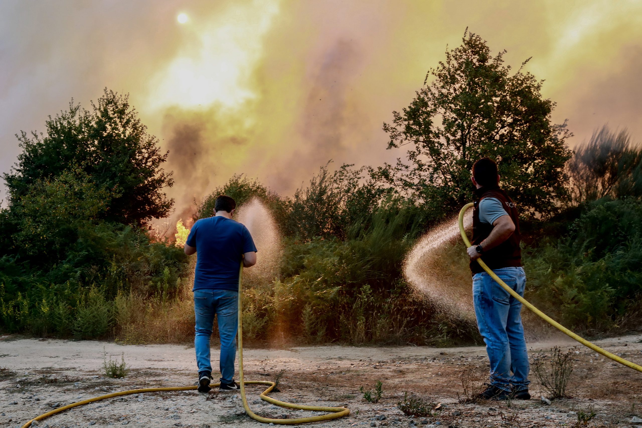 Psicólogos, técnicos agrícolas e profissionais de saúde. Câmara de Nelas cria equipa multidisciplinar depois dos incêndios