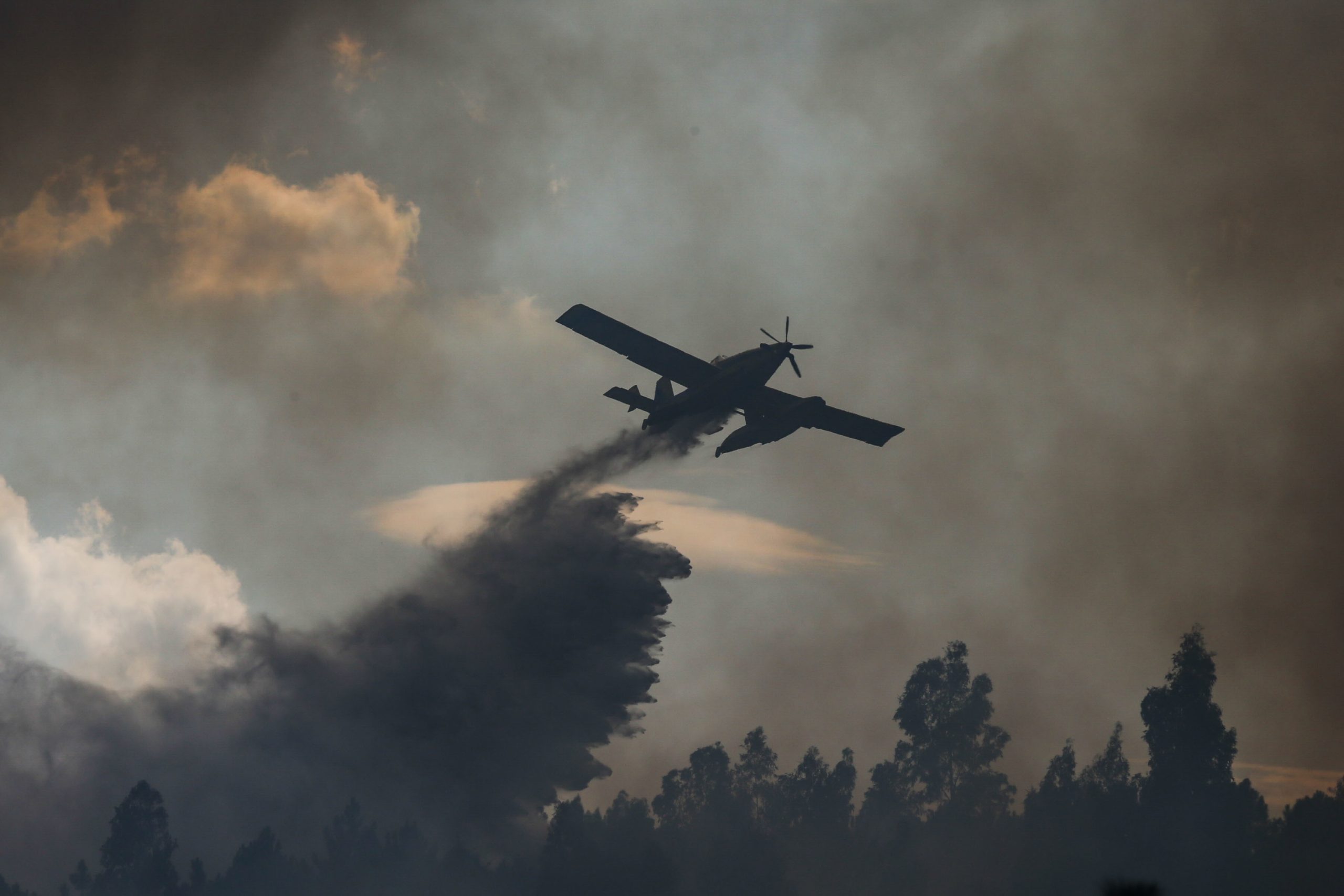 Incêndios: Autarcas de Oleiros, Castelo Branco e Proença-a-Nova pedem ajuda urgente ao Governo