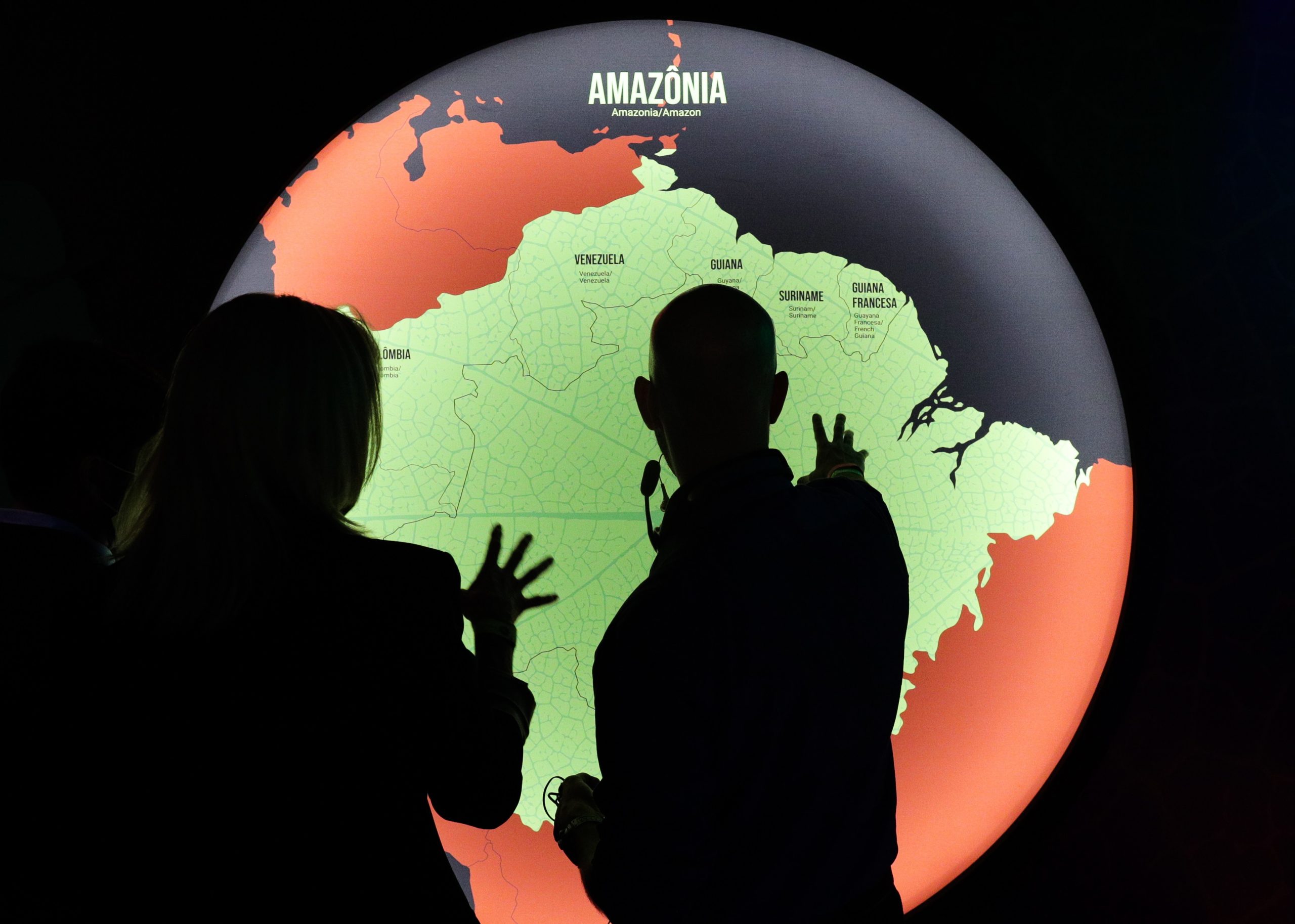 Reino Unido anuncia mais 40,5 milhões de euros para Fundo Amazónia do Brasil