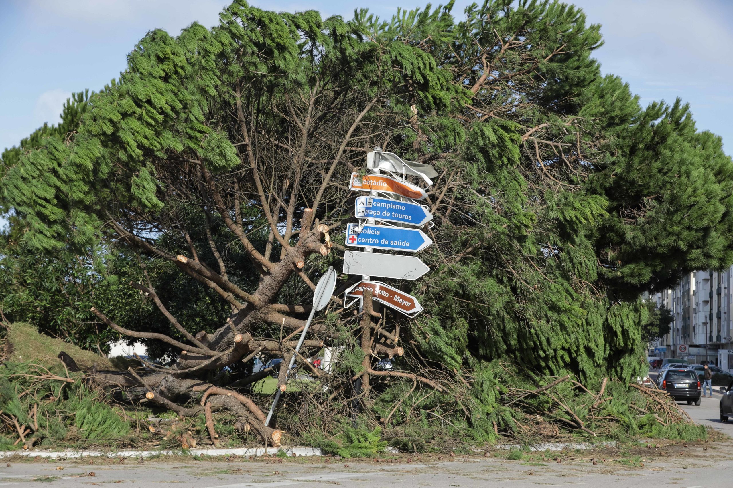 Ondas de calor e tempestades marcaram 2025, com Portugal a registar temperaturas recorde e ano mais húmido que a média